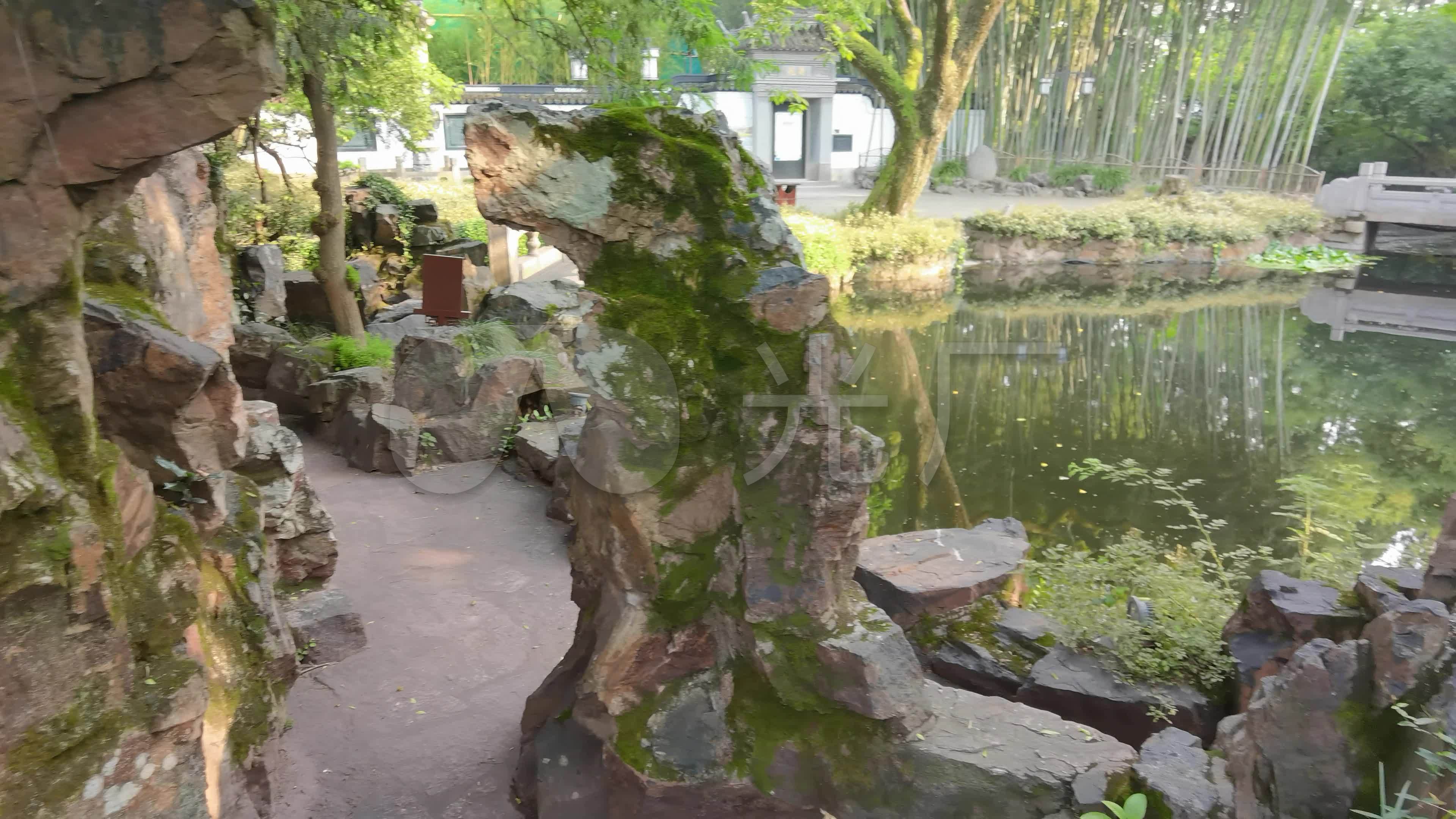 苏州园林 假山 湖水 怪石 上海园林 竹林