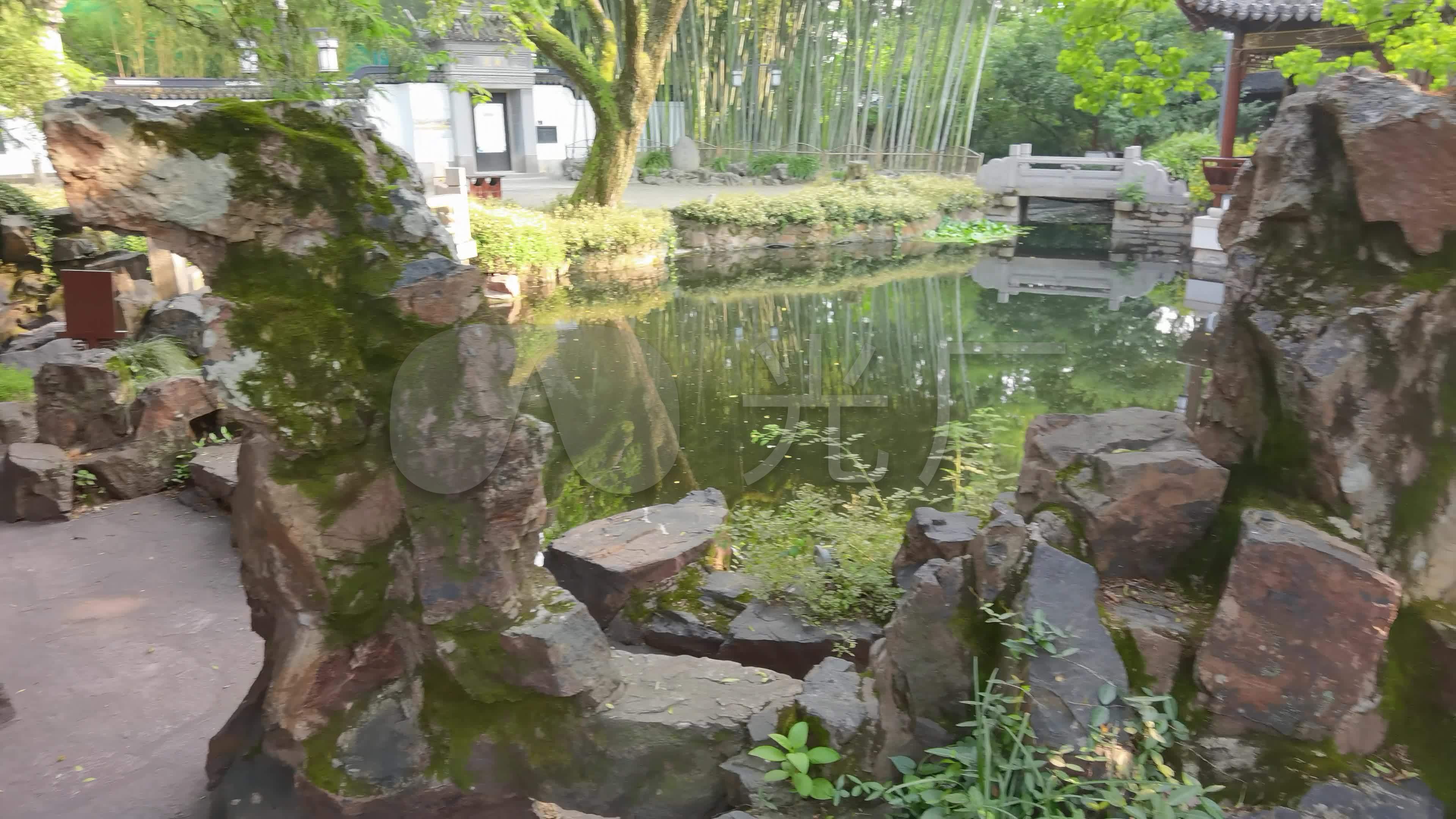 苏州园林 假山 湖水 怪石 上海园林 竹林
