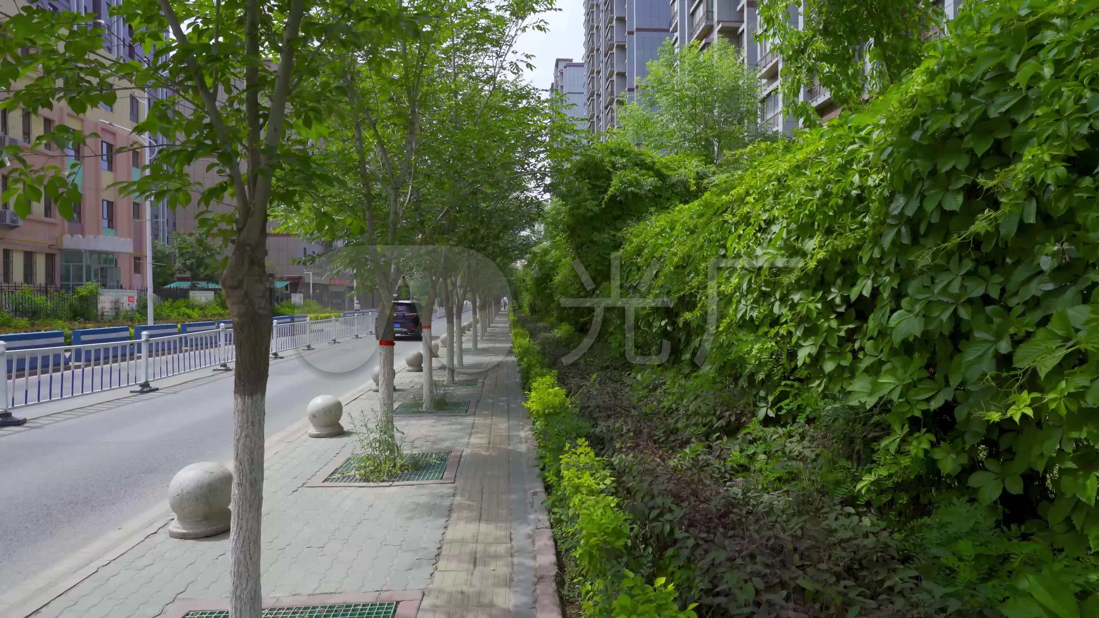 路边绿化带人行道_3840x2160_高清视频素材下载(编号