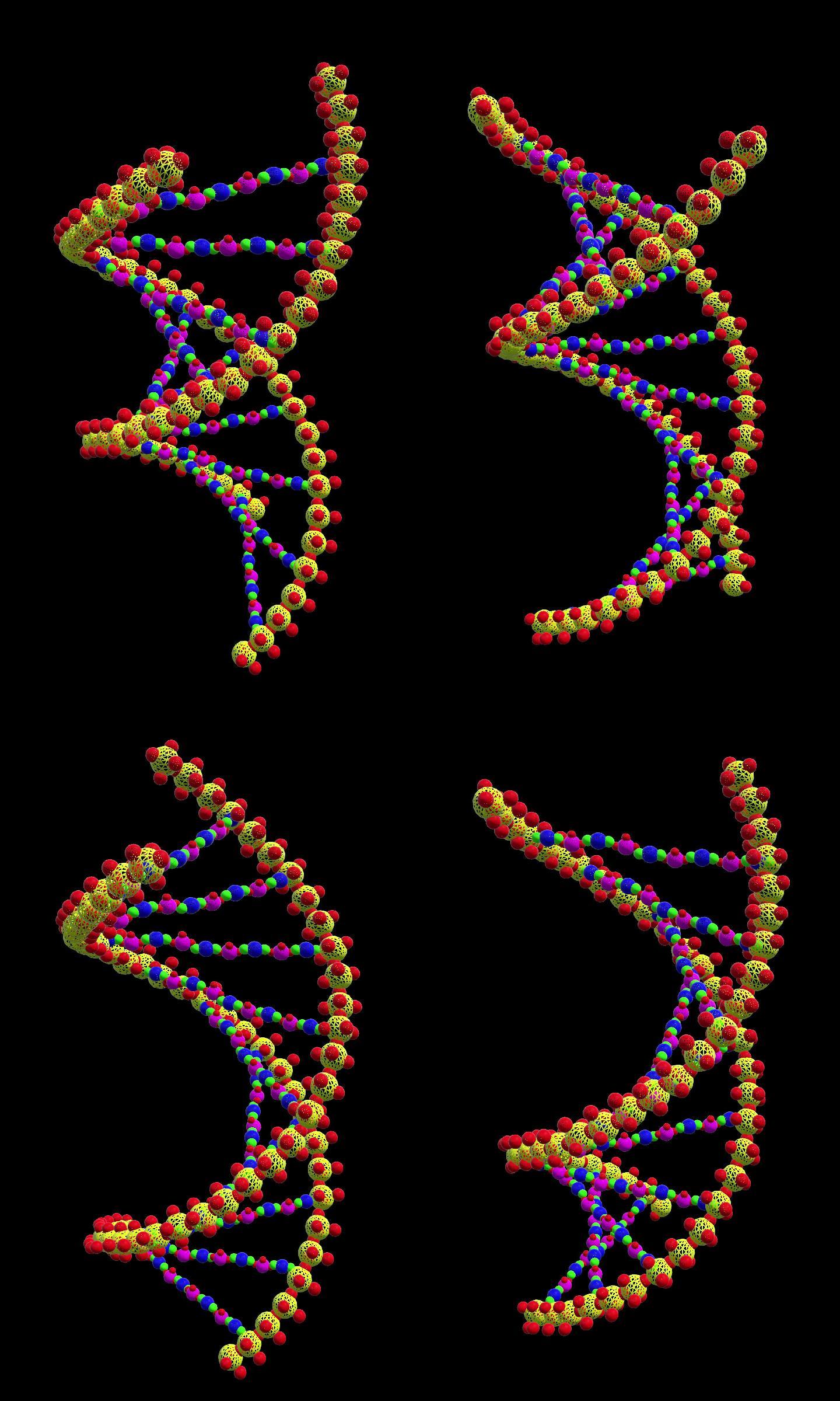 dna分子链6