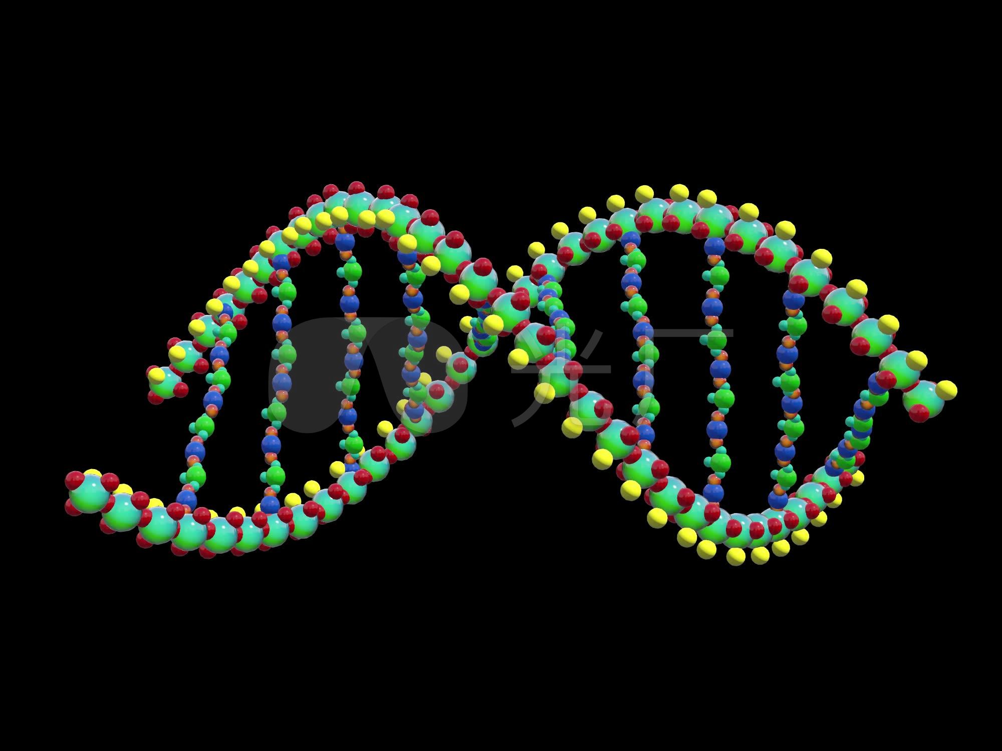 dna分子链