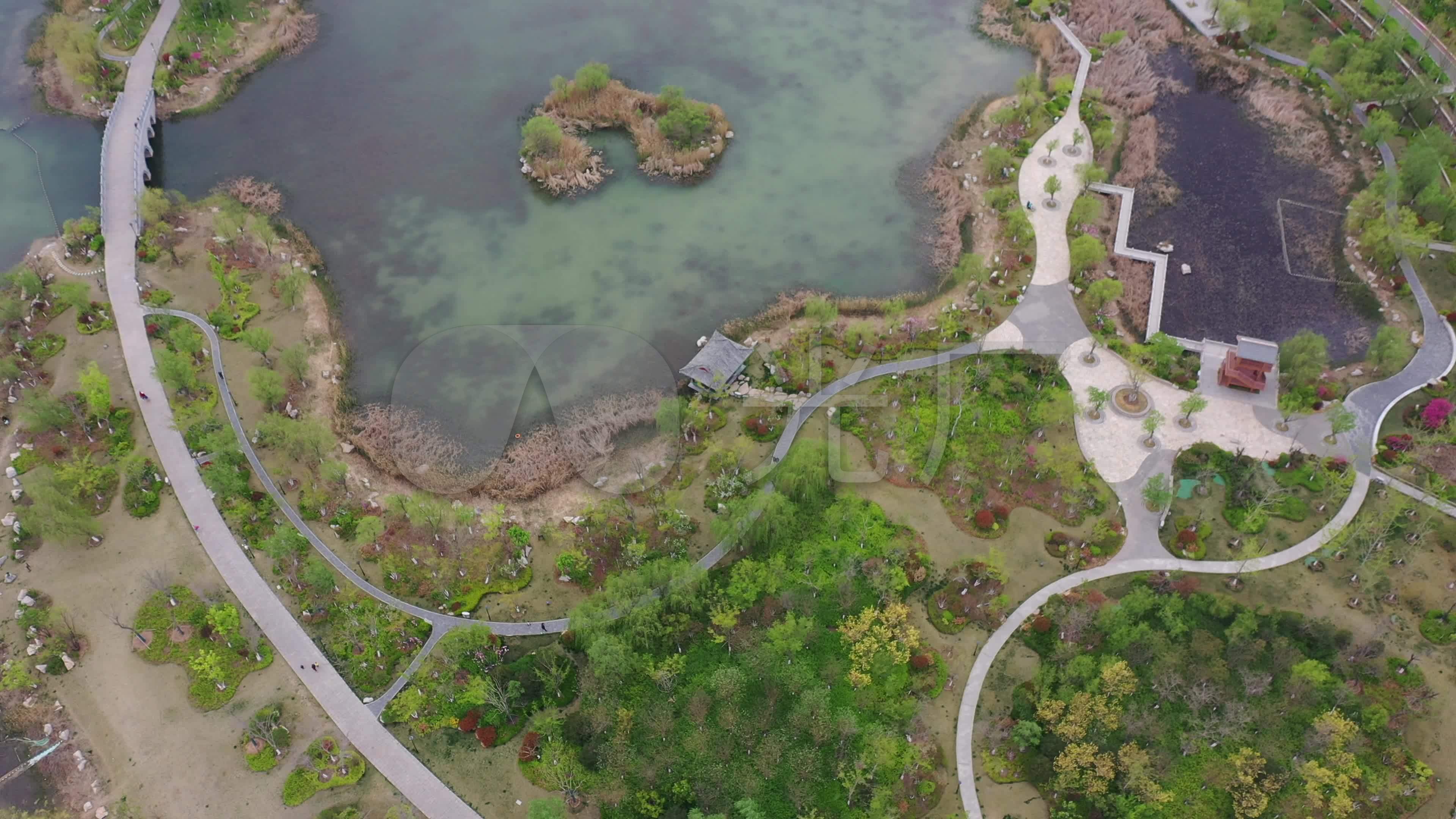山东济南:航拍华山湖湿地公园森林春天