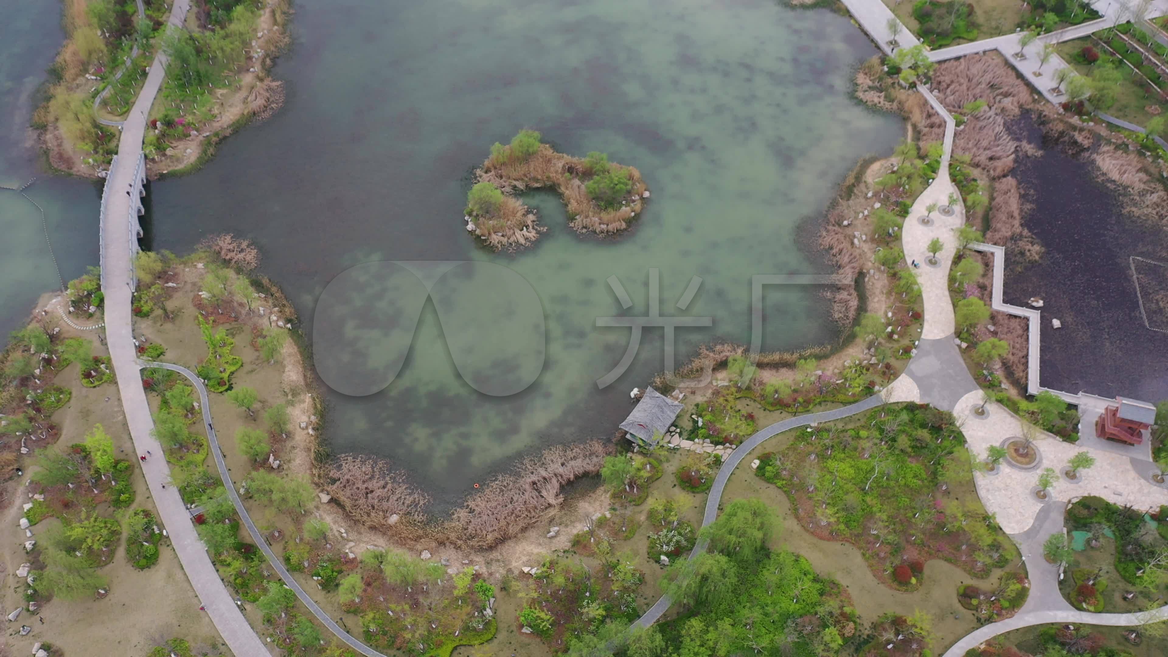山东济南:航拍华山湖湿地公园森林春天