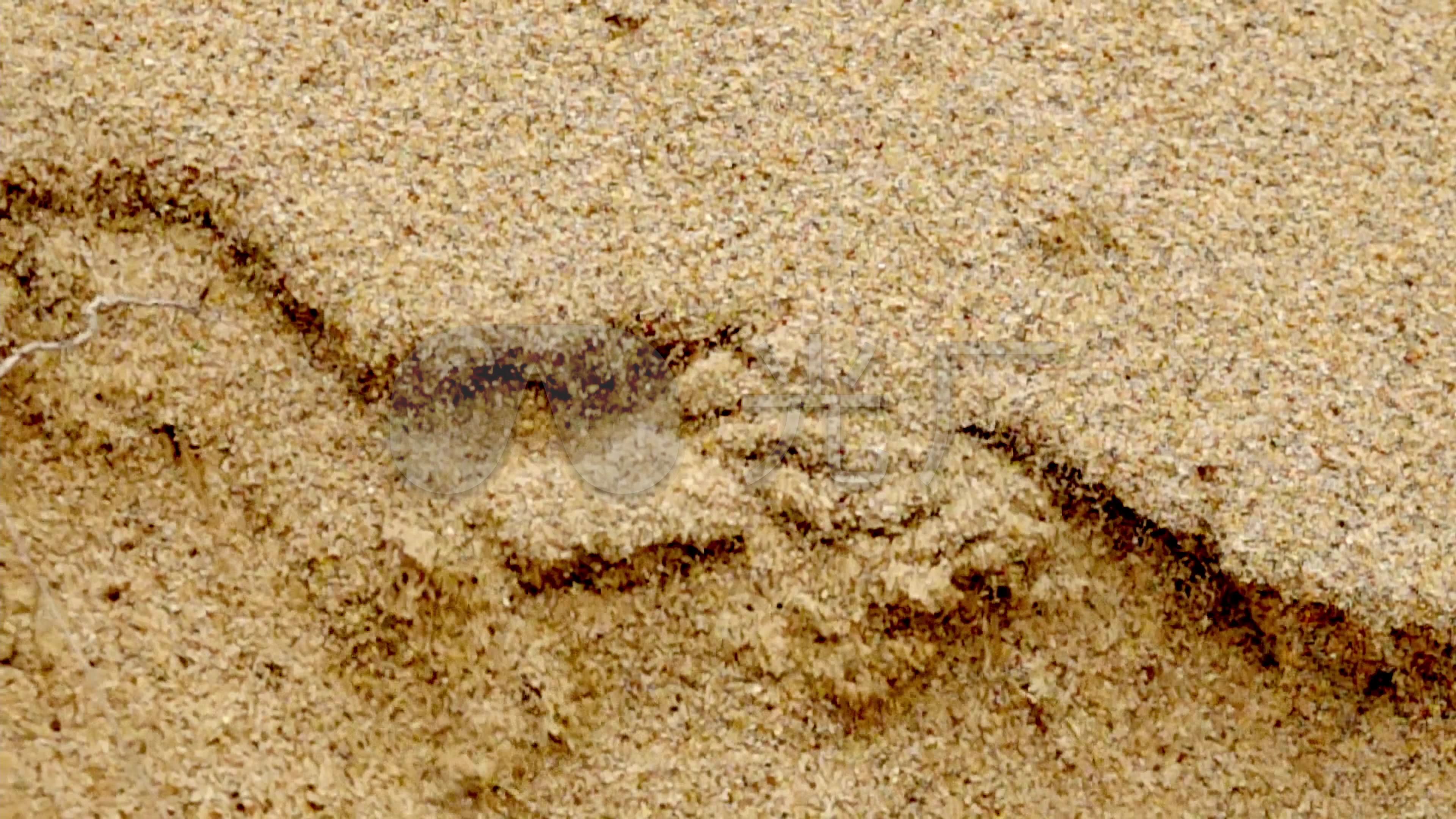 流沙慢镜头沙滩沙堆一_3840x2160_高清视频素材下载(编号:5958288)