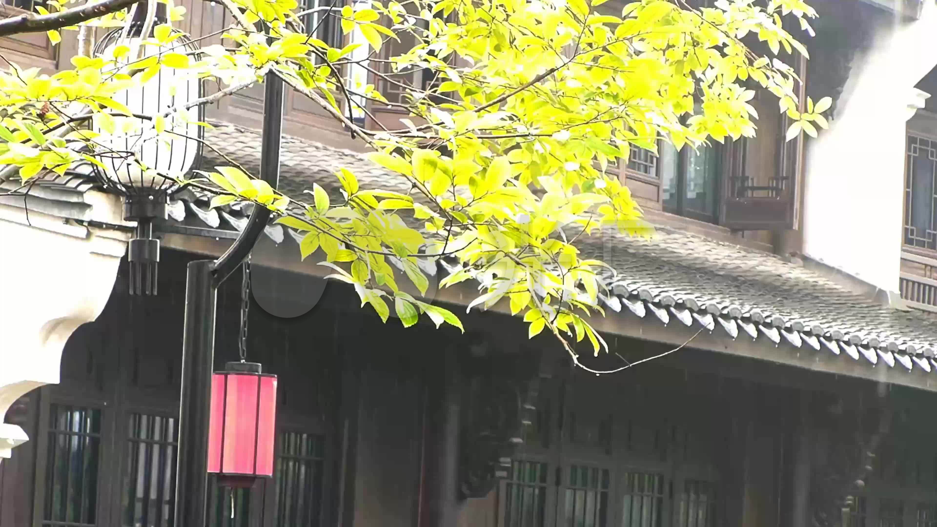 微风细雨_3840x2160_高清视频素材下载(编号:5971612)