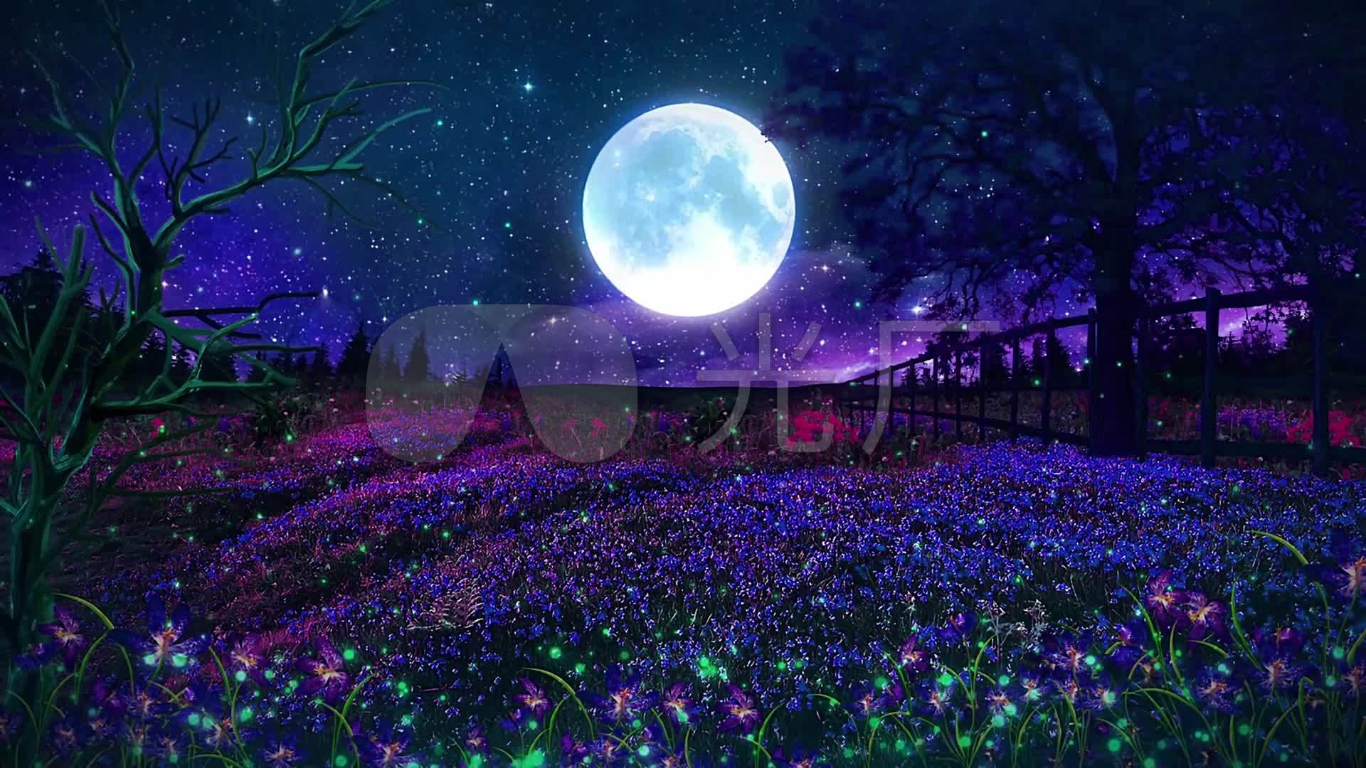 月亮七夕萤火虫唯美梦幻蓝紫_1920x1080_高清视频素材
