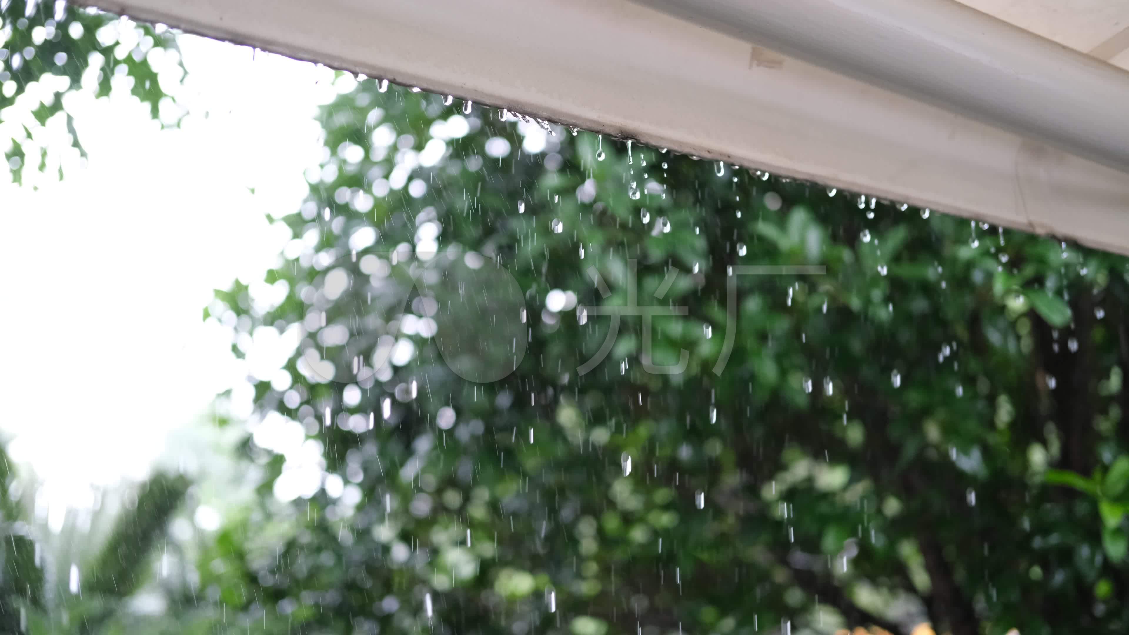 夏天下雨唯美清新空镜雨景4k视频素材