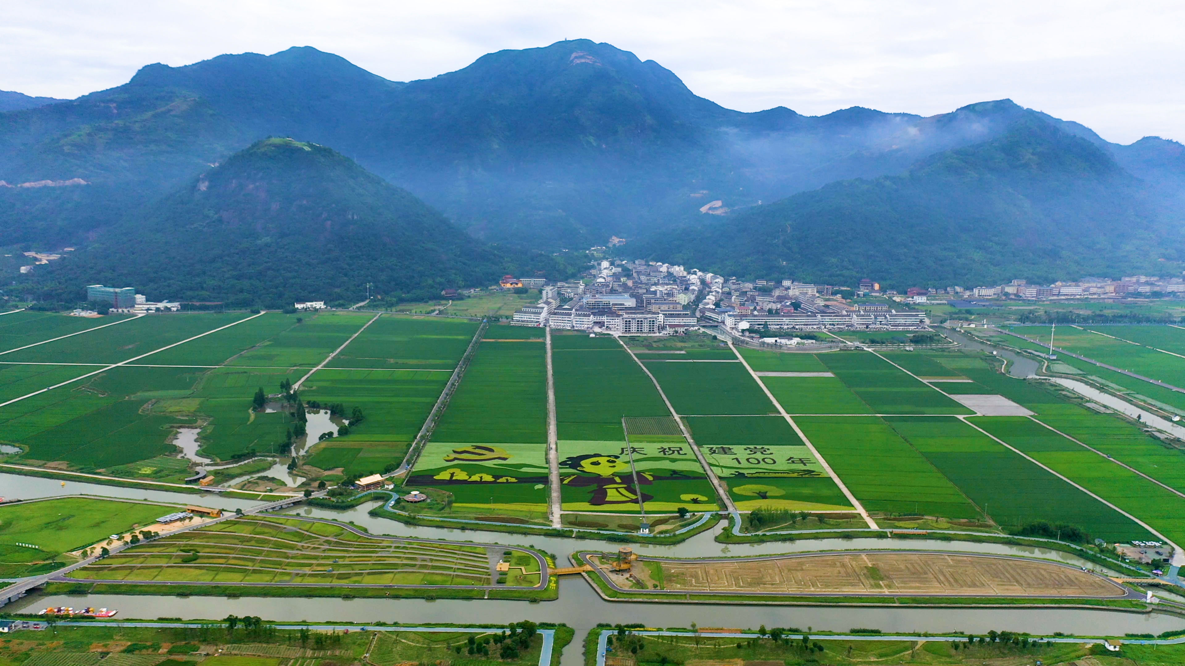 瑞安曹村彩色稻田庆建党100年4k素材