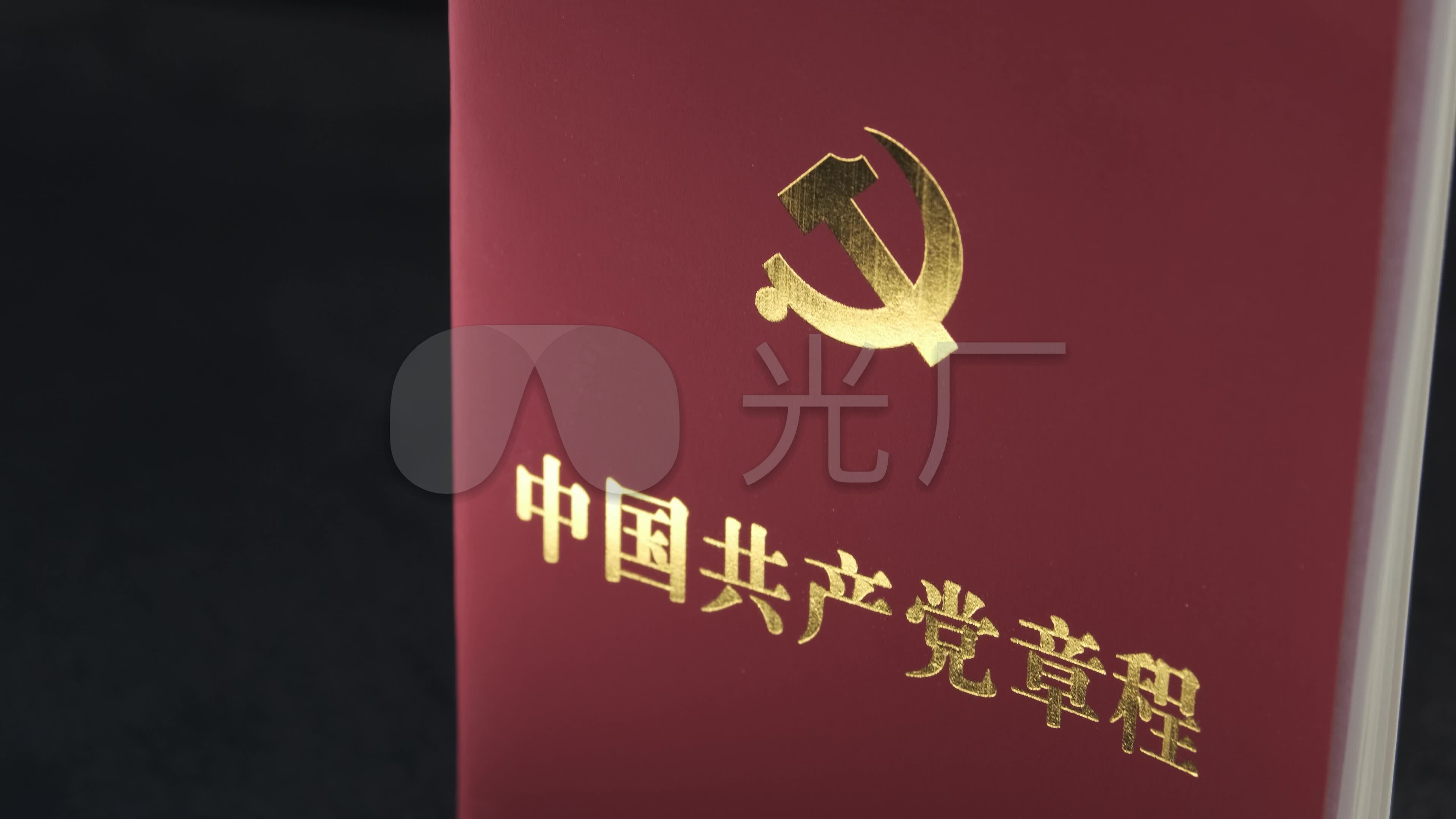 100周年百年党章党徽