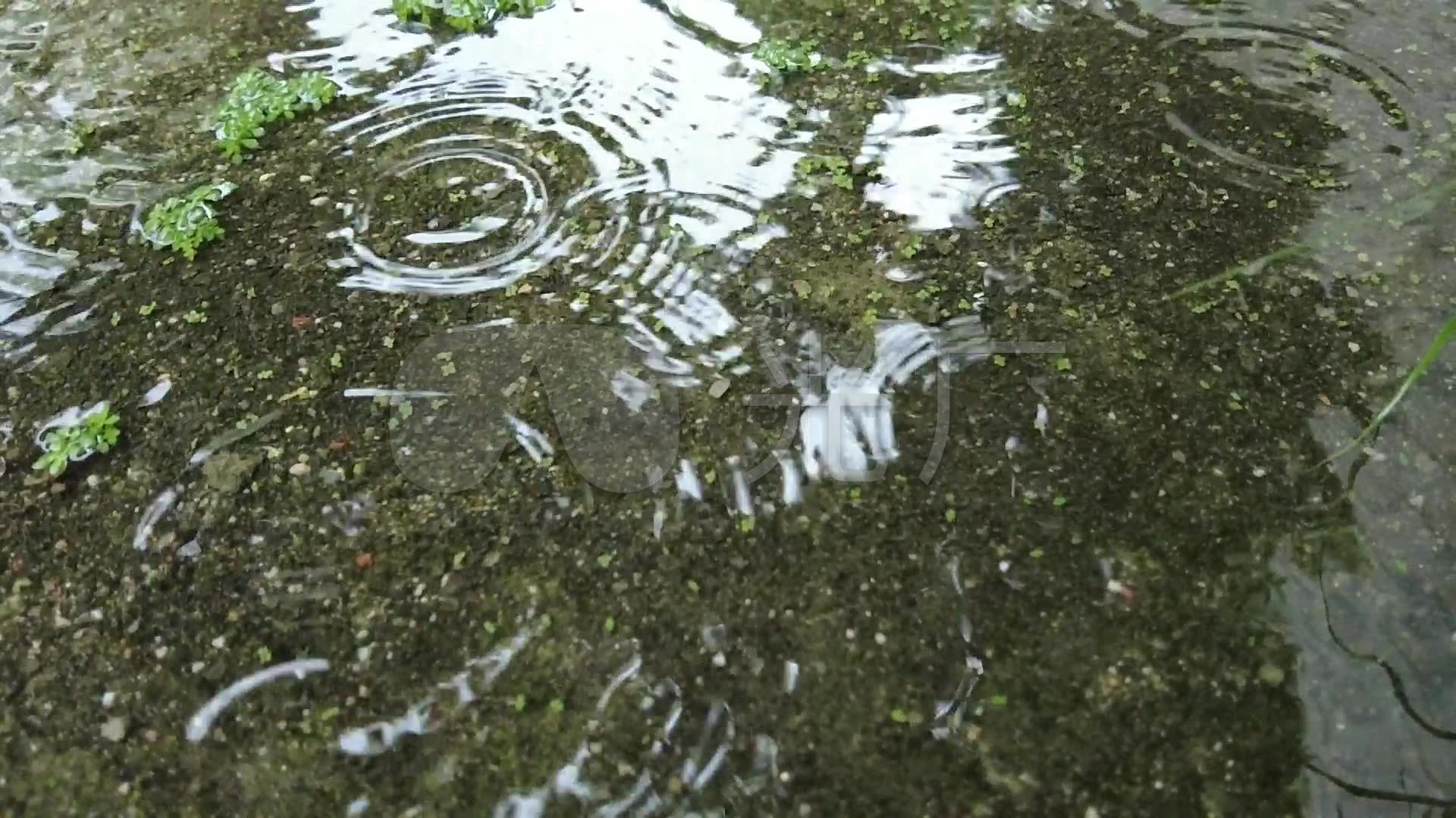 小雨点雨雨天天气