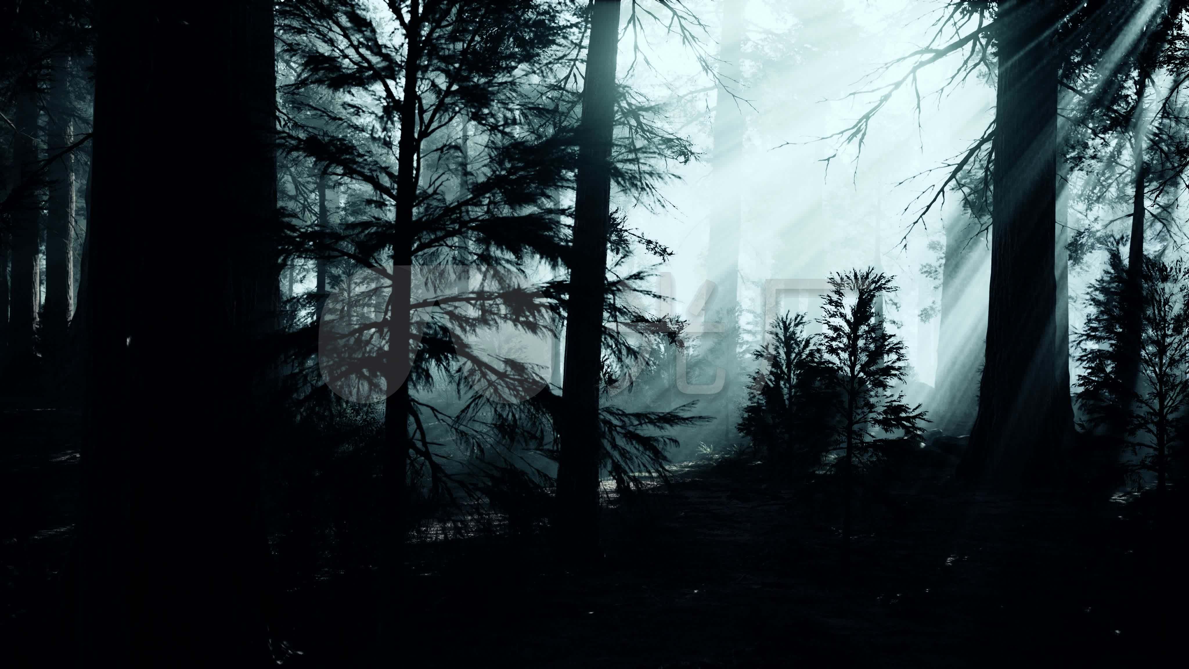 恐怖森林诡异气氛迷雾特效背景1