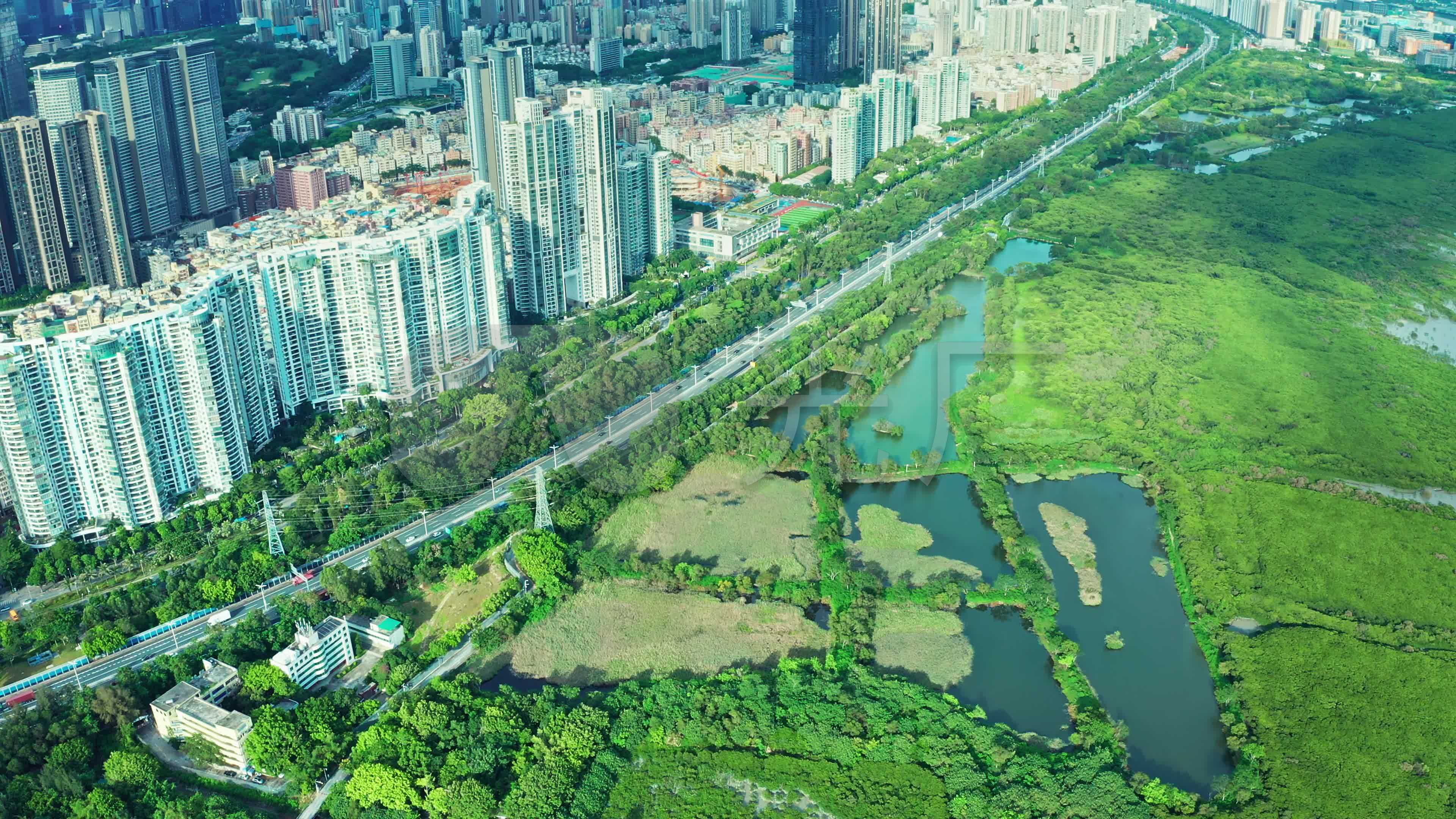 深圳福田红树林航拍