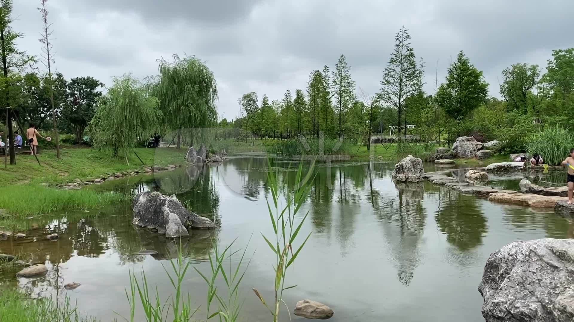 夏天公园水景特写河道树林景色石头水天一色