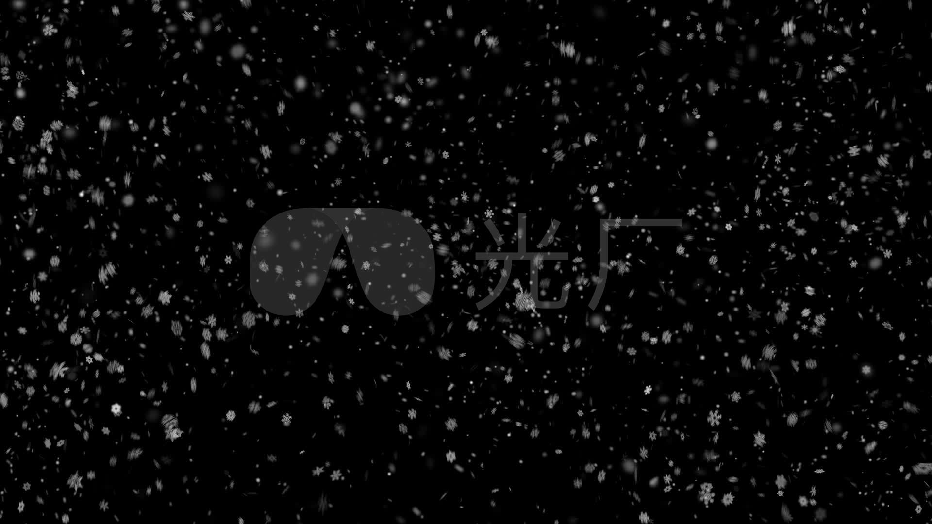 大雪纷飞 鹅毛大雪视频素材