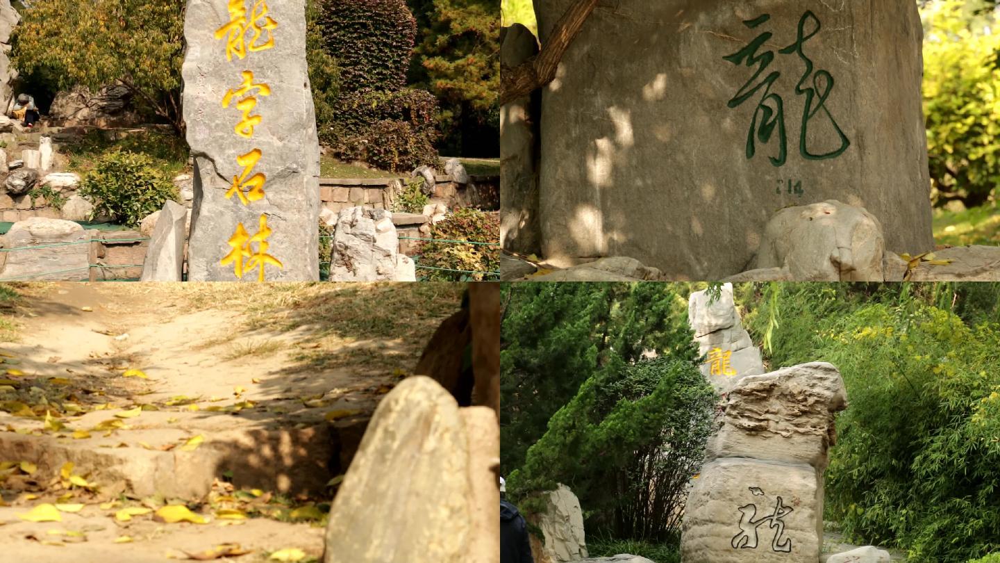 北京龙潭公园 龙字石林