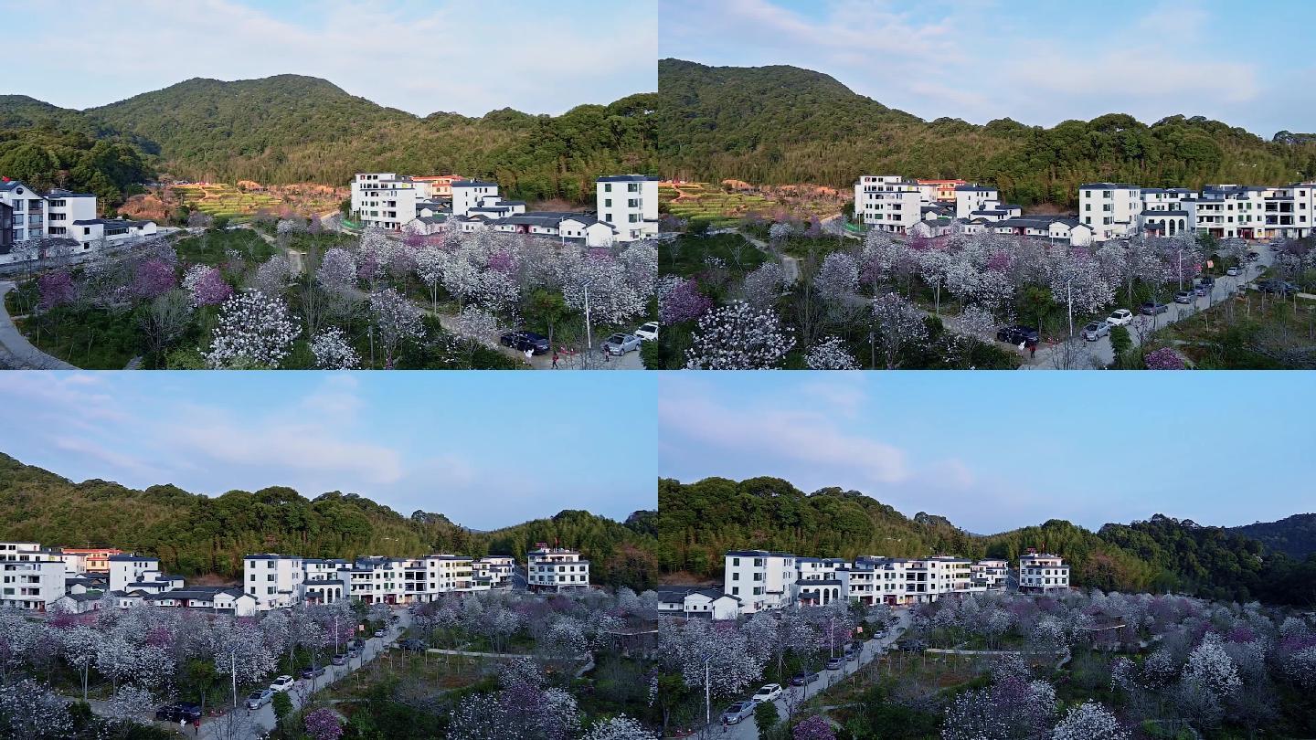 广州从化阿婆六村风光