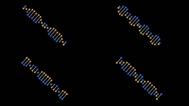 基因 dna rna cdna 基因分子 医疗 科技 基因链