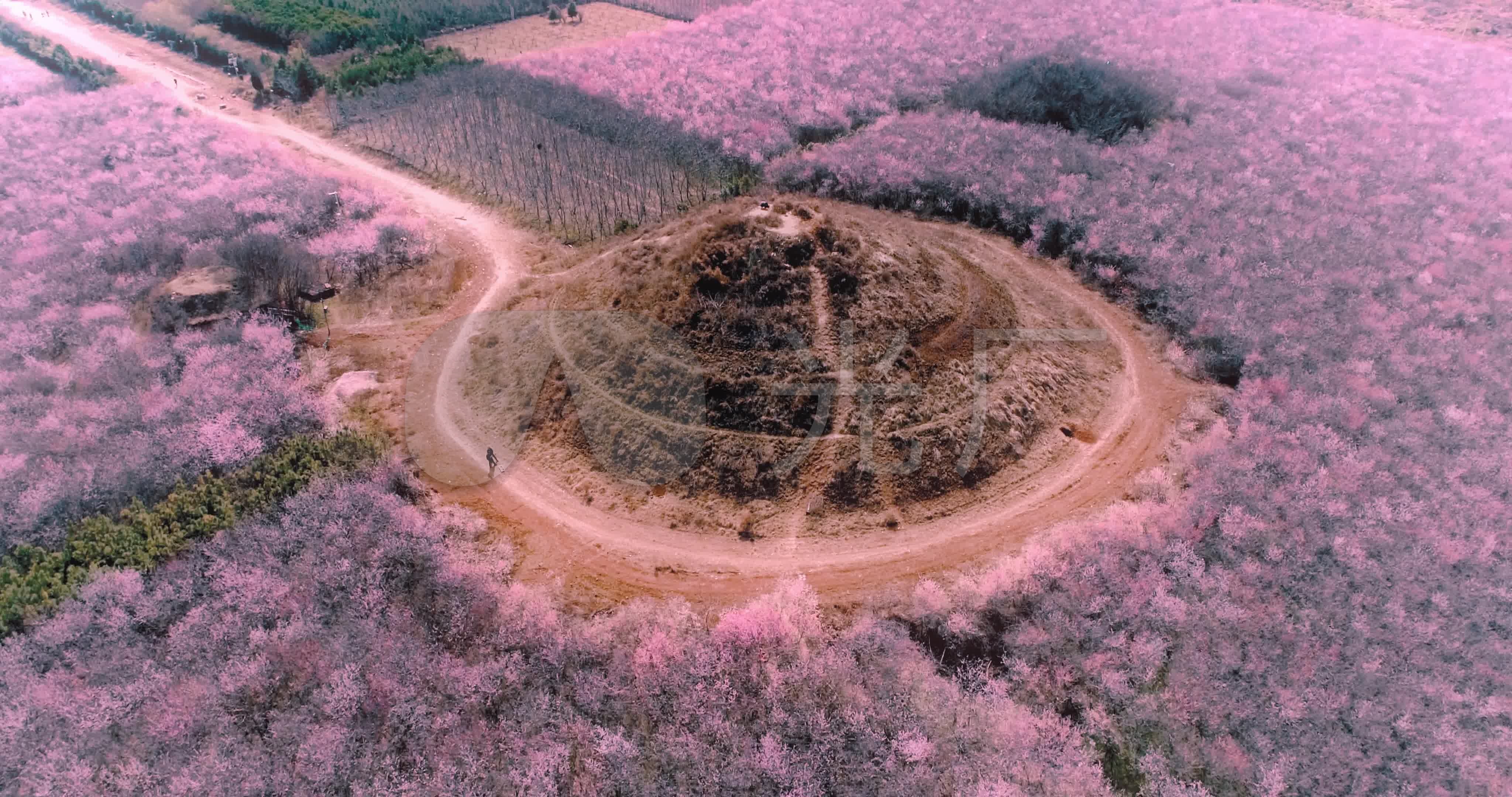 航拍西安明秦王墓桃花海