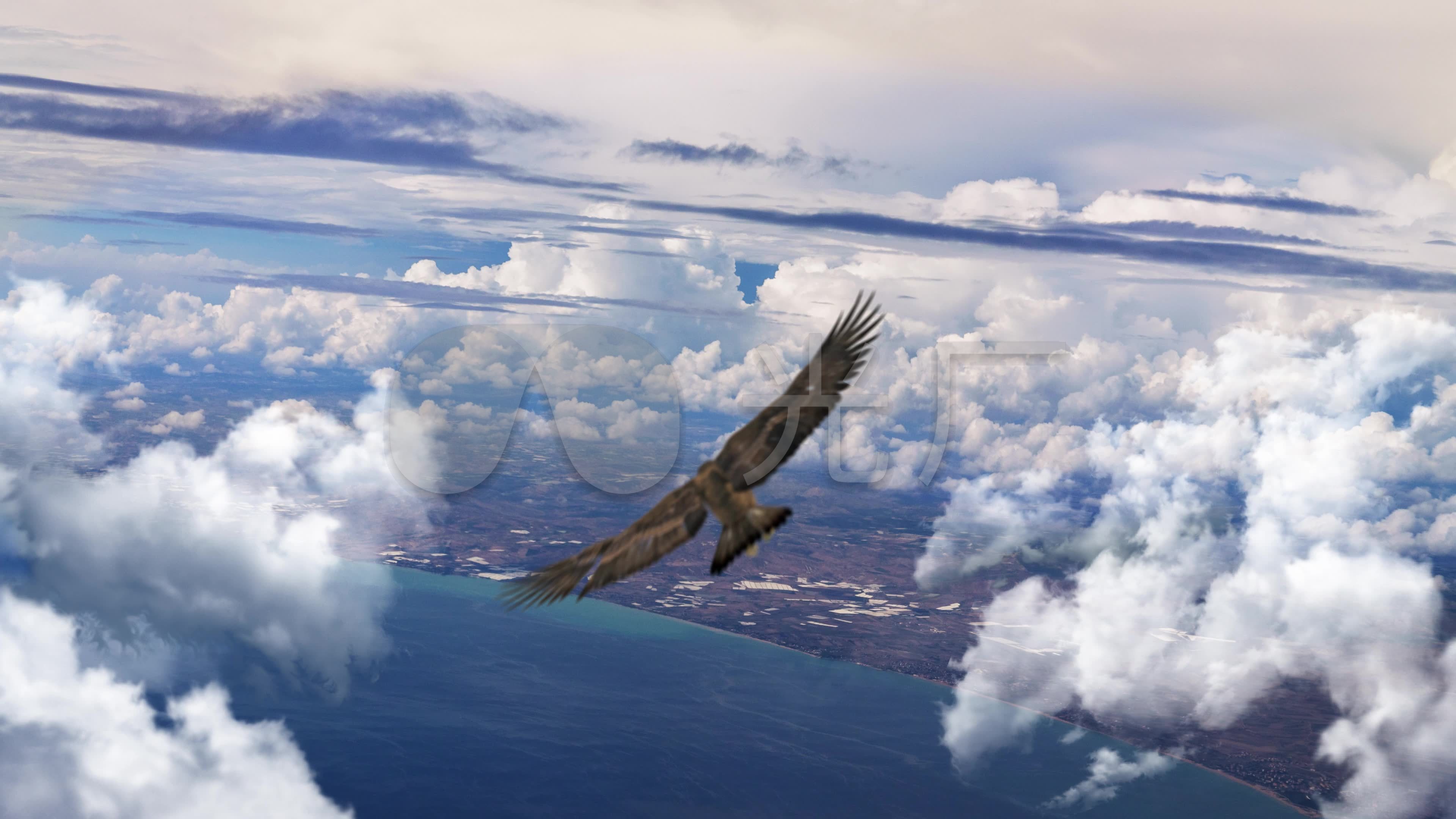 4k鹰击长空_3840x2160_高清视频素材下载(编号:)_影视