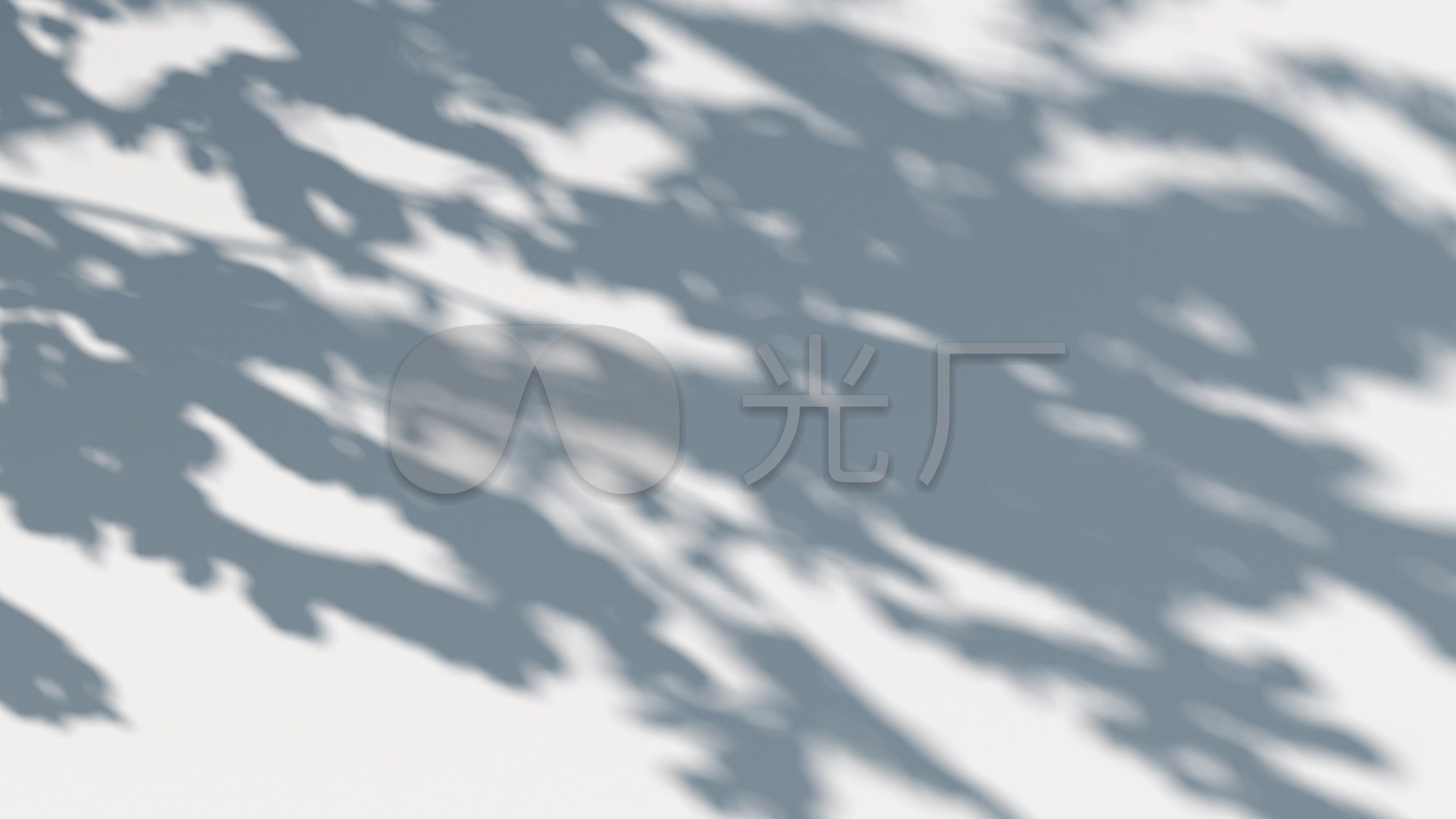 【2k】夏日阳光墙面树影婆娑唯美光影空镜_2560x1440_高清视频素材