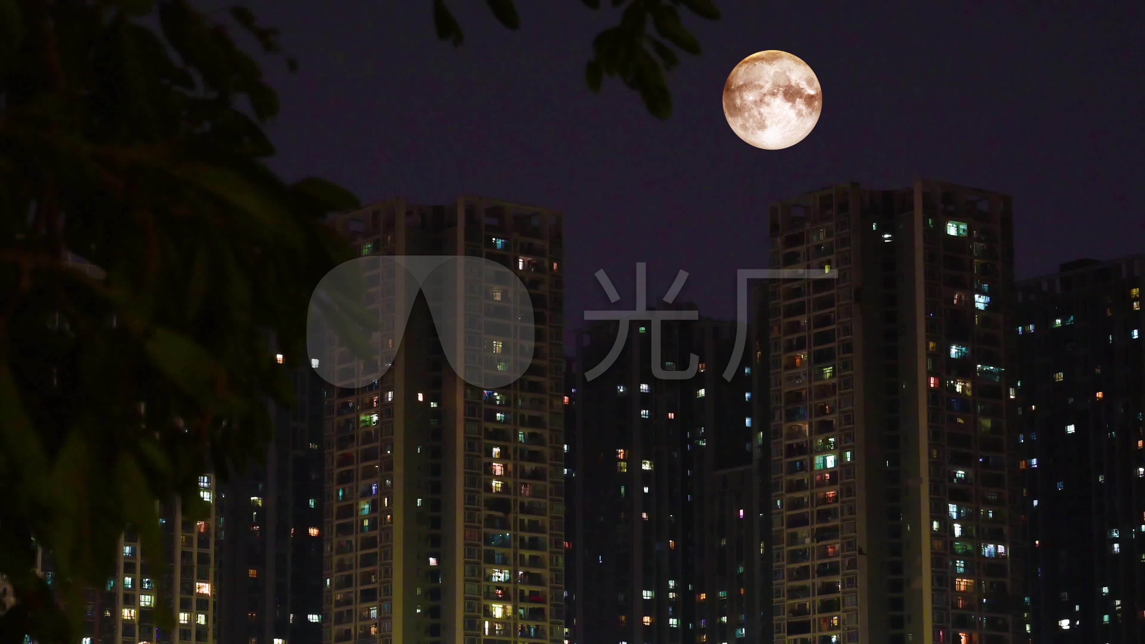 4k城市月夜