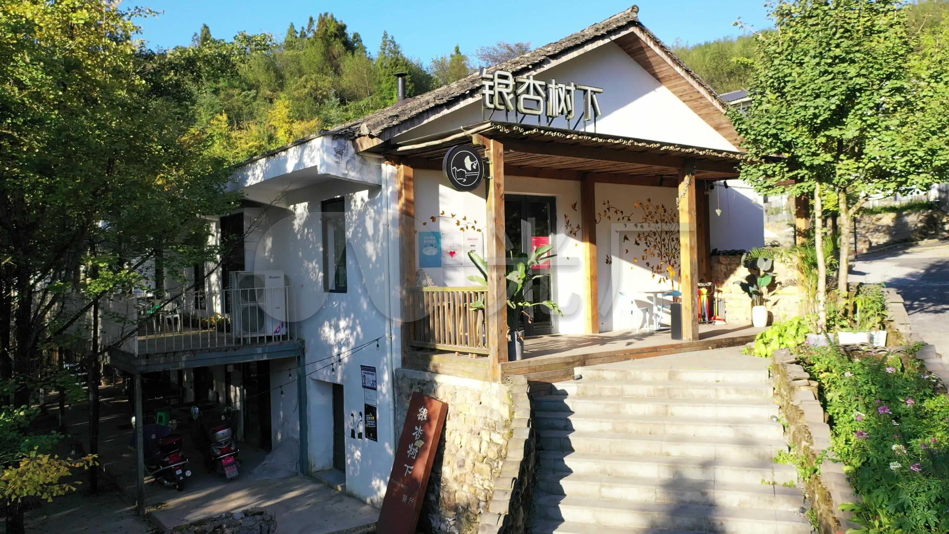 航拍重庆南川山王坪银杏树下民宿_3840x2160_高清视频素材下载(编号
