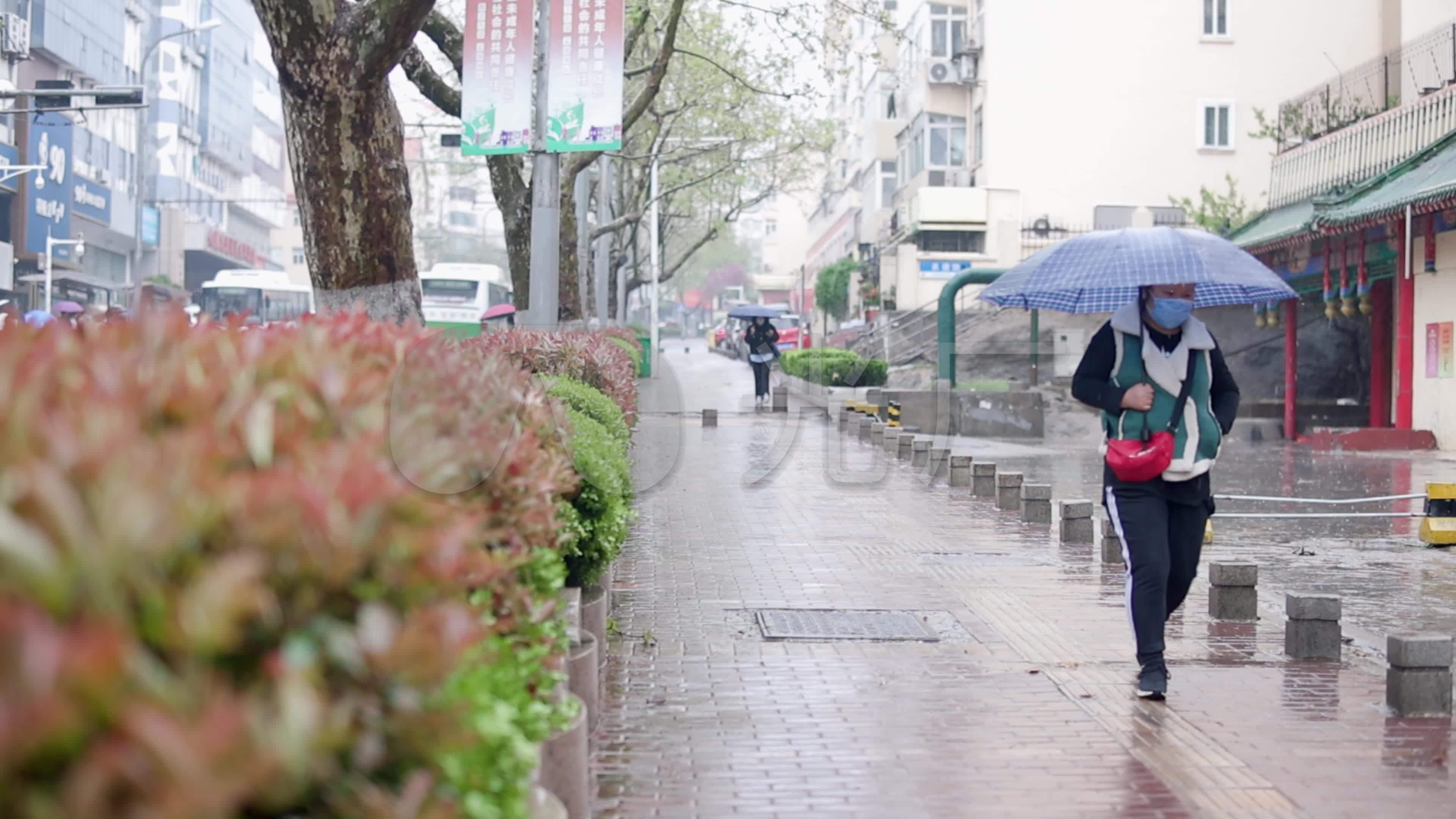 4k高清雨天街景公交车辆慢镜绿植