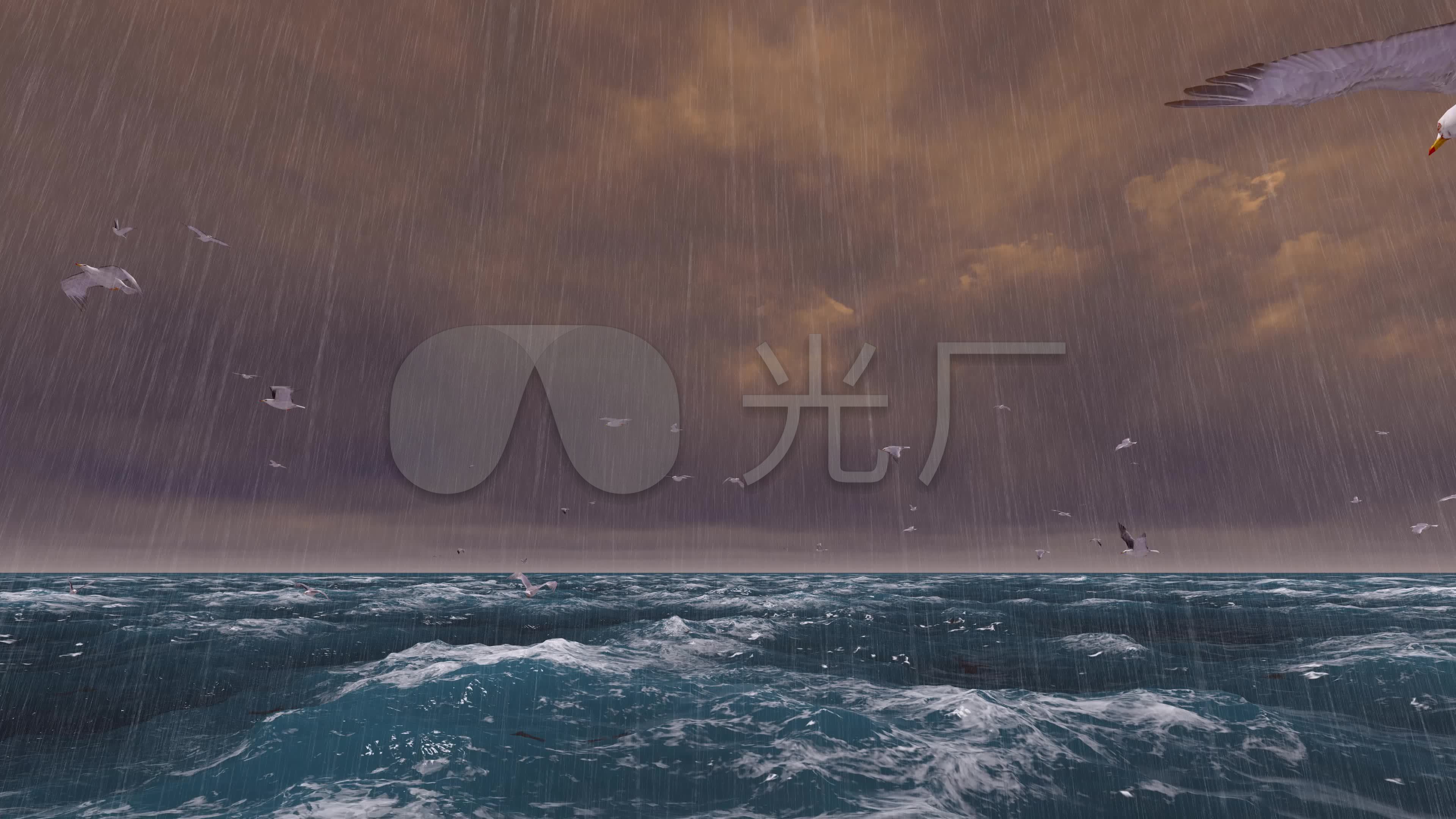 4k_狂风暴雨海面海鸥_3840x2160_高清视频素材下载(编号:6528064)