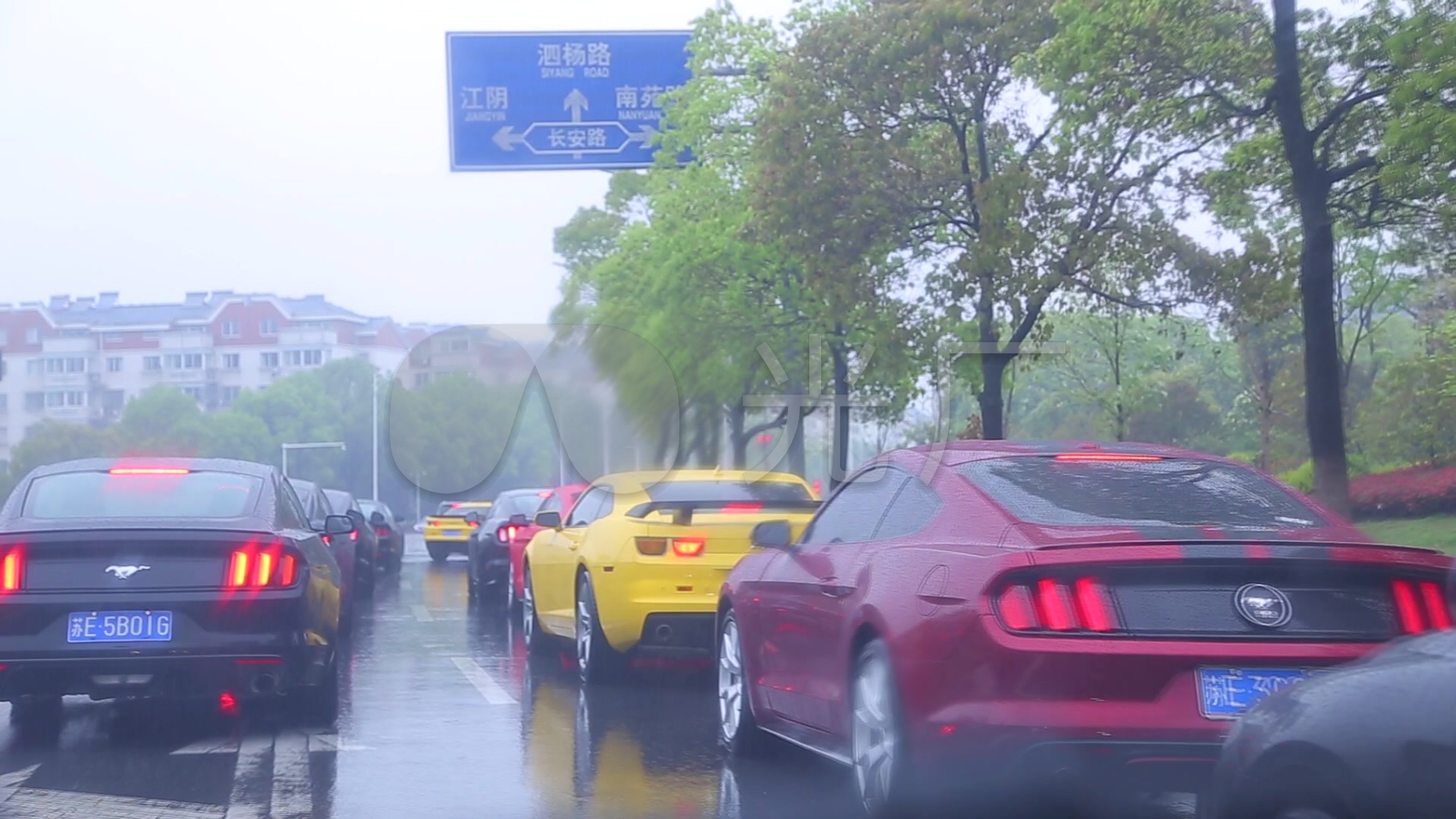 雨天行驶的野马车队_1920x1080_高清视频素材下载(编号:6538302)_实拍