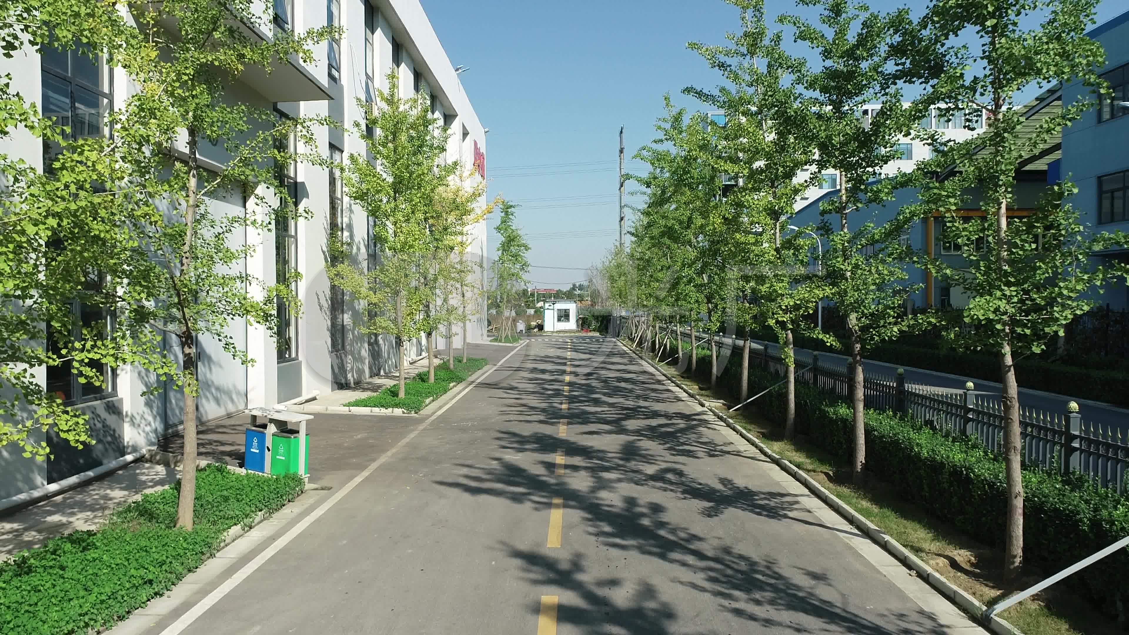 厂区绿化道路