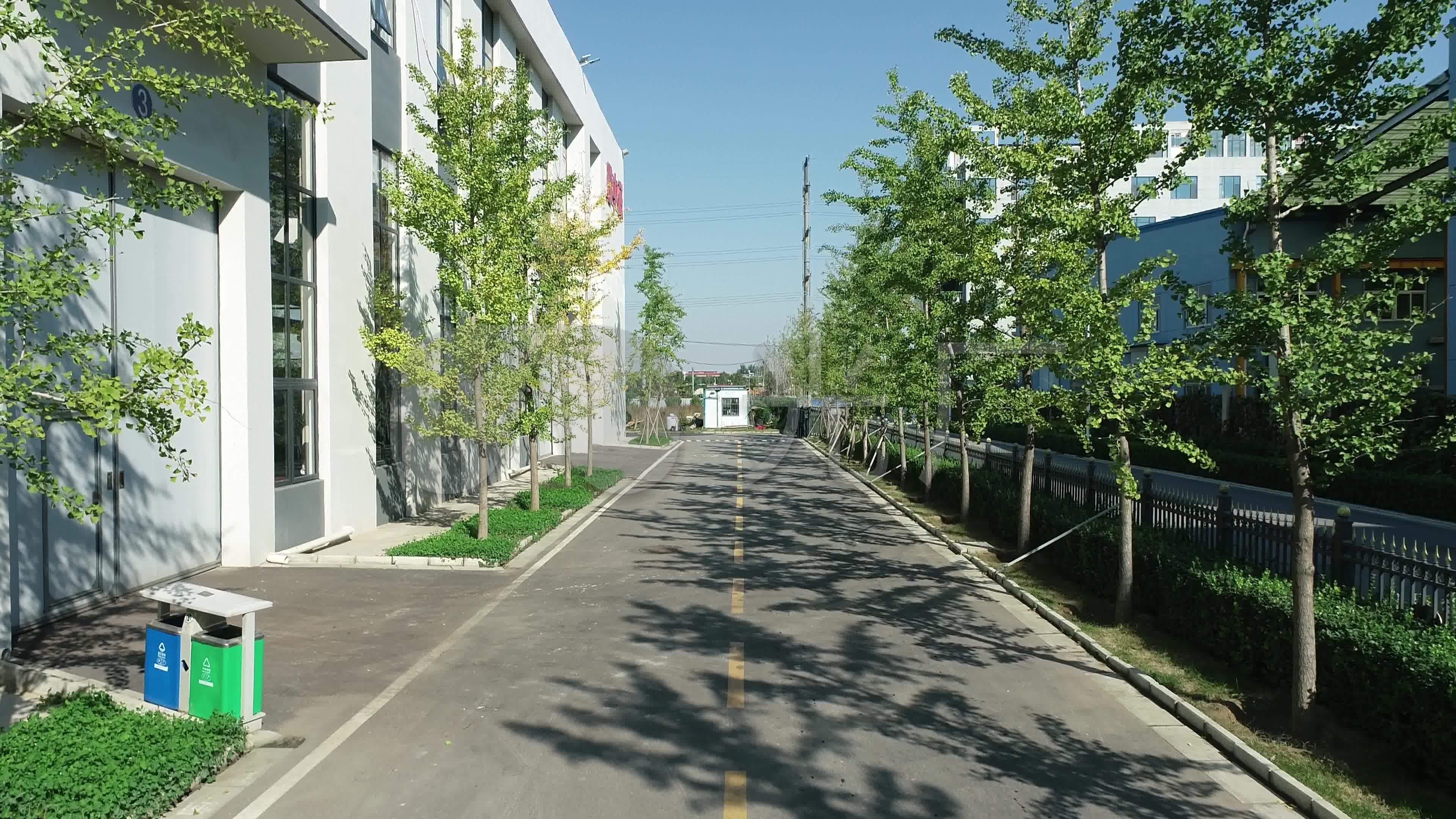 厂区绿化道路