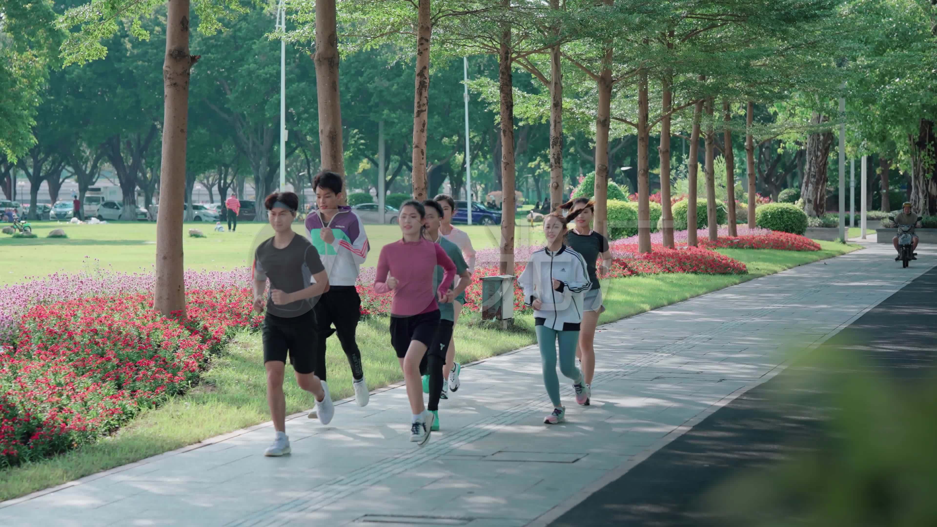 公园跑步的年轻人_3840x2160_高清视频素材下载(编号:6593998)_实拍视