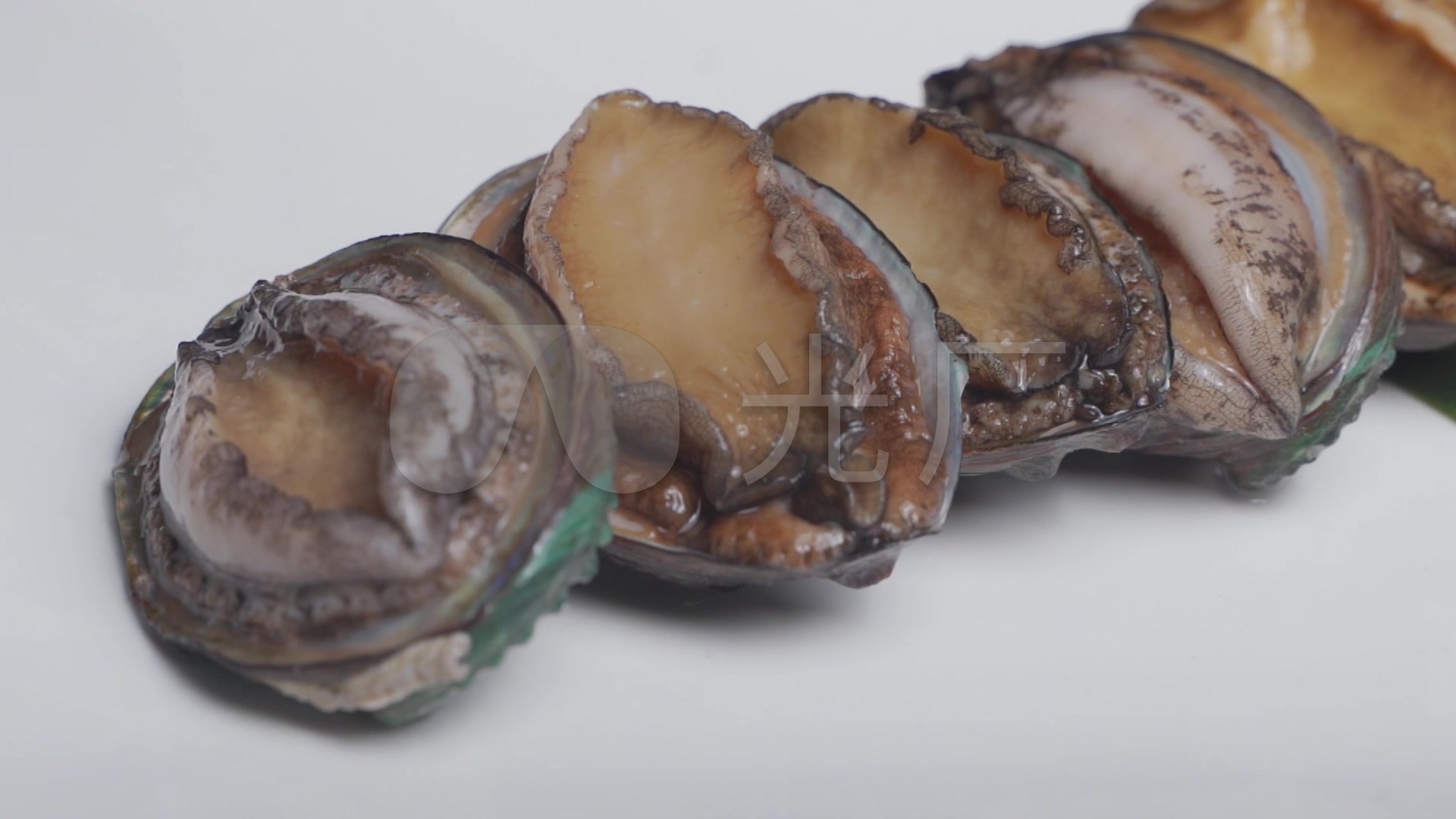 鲍鱼 食材 原素材 美食 海鲜