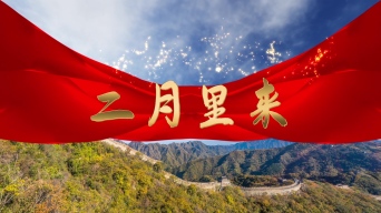 二月里来配乐成品背景视频视频素材