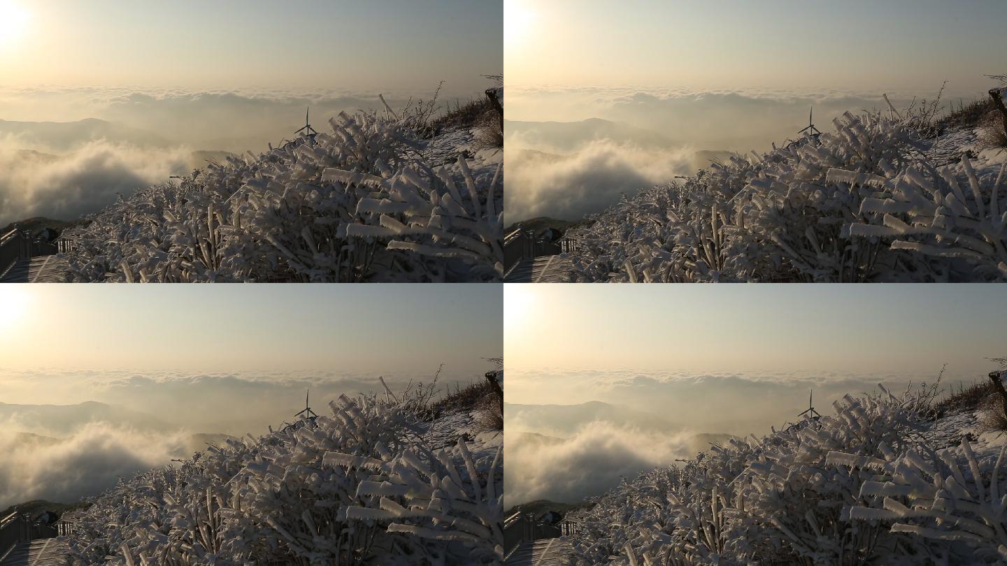 东白山冬天下雪早晨云雾日出冰凌雾凇寒风