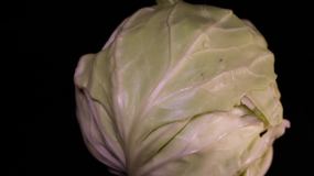 嘎达白圆白菜包菜蔬菜_3840x2160_高清视频素材下载(编号:8531718)