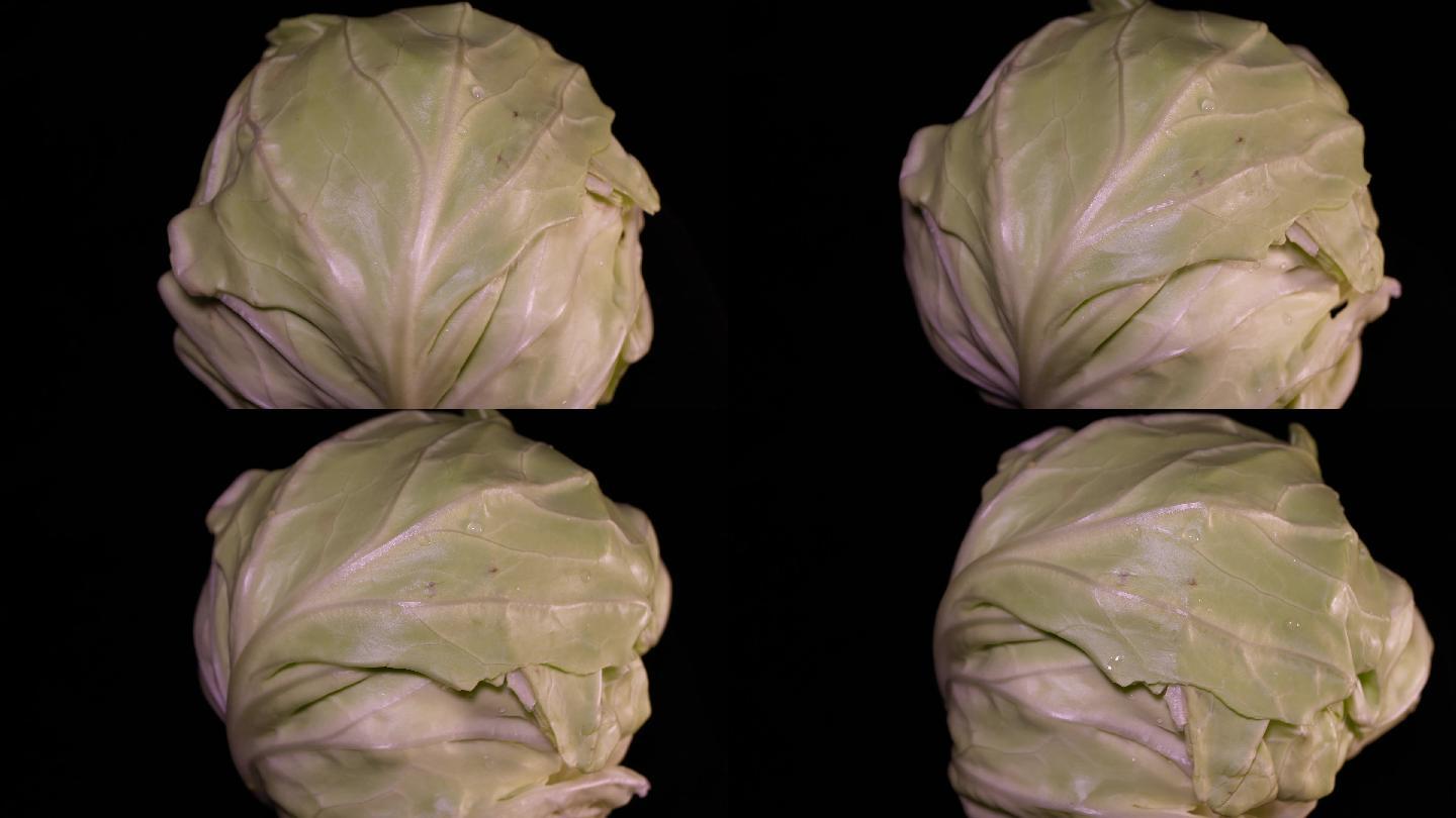 嘎达白圆白菜包菜蔬菜
