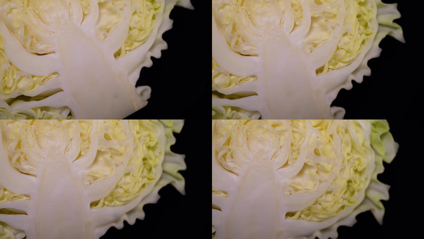 嘎达白圆白菜包菜蔬菜