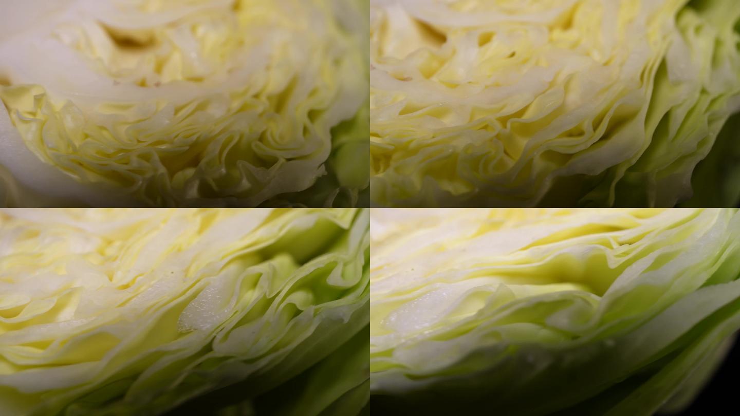 嘎达白圆白菜包菜蔬菜