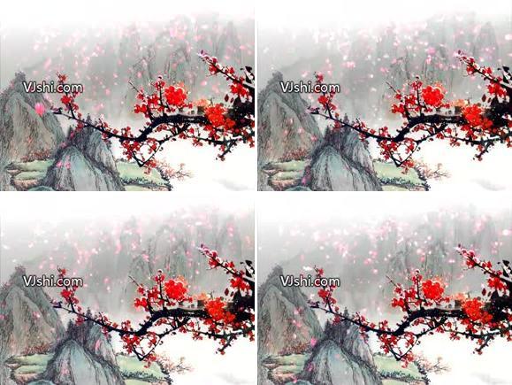 梅花、花瓣飘落.