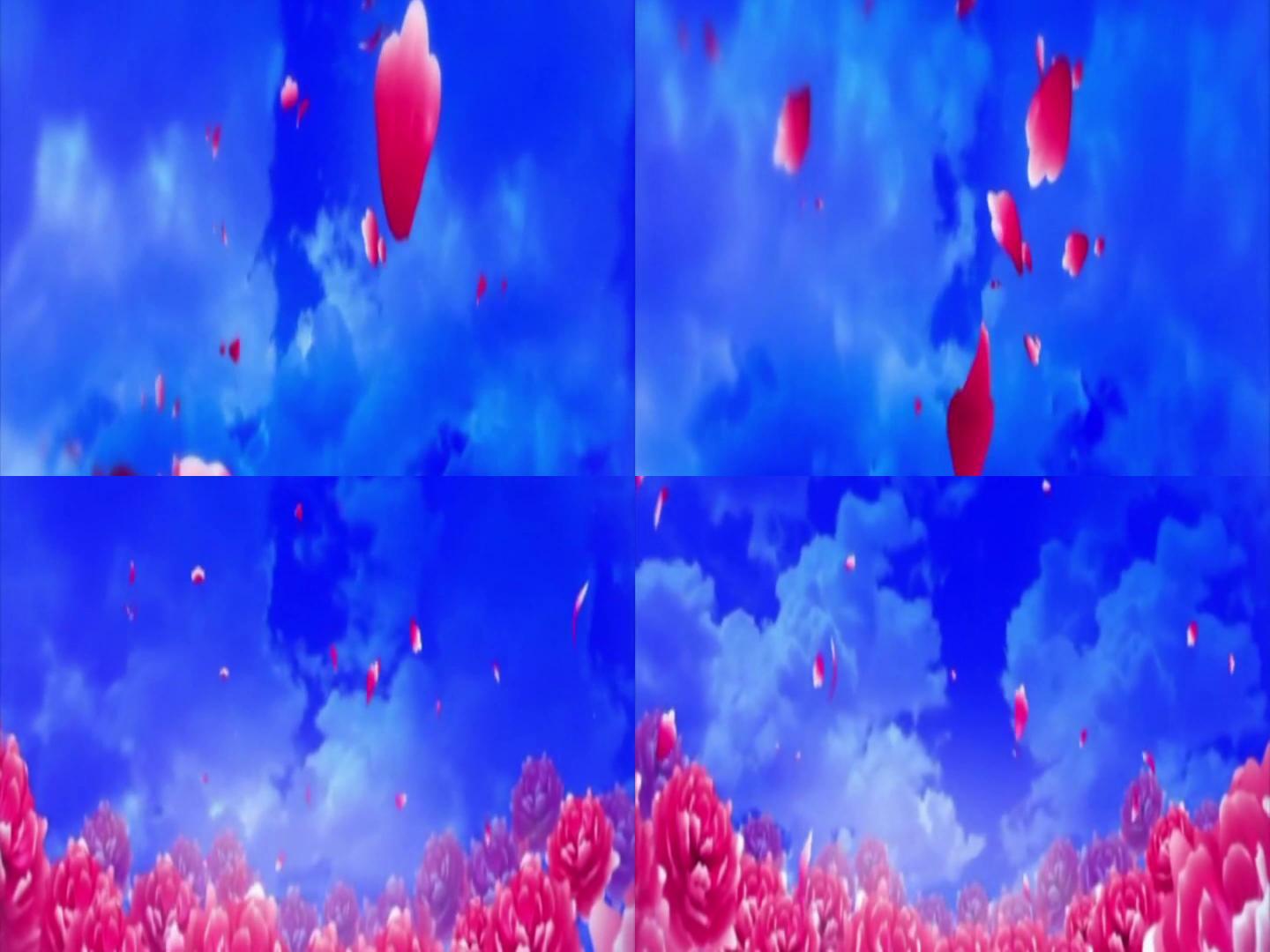 牡丹花瓣