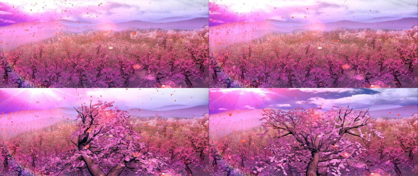 桃花红杏花白