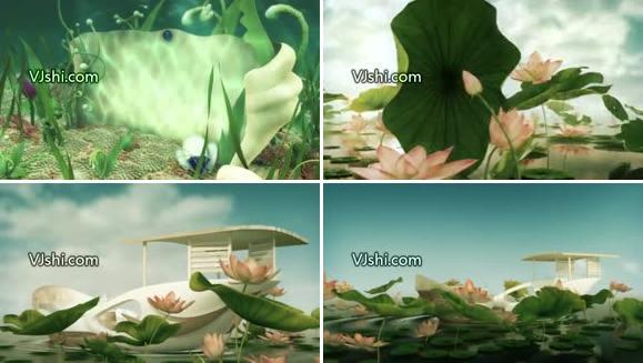 3d 精美荷花 婚礼