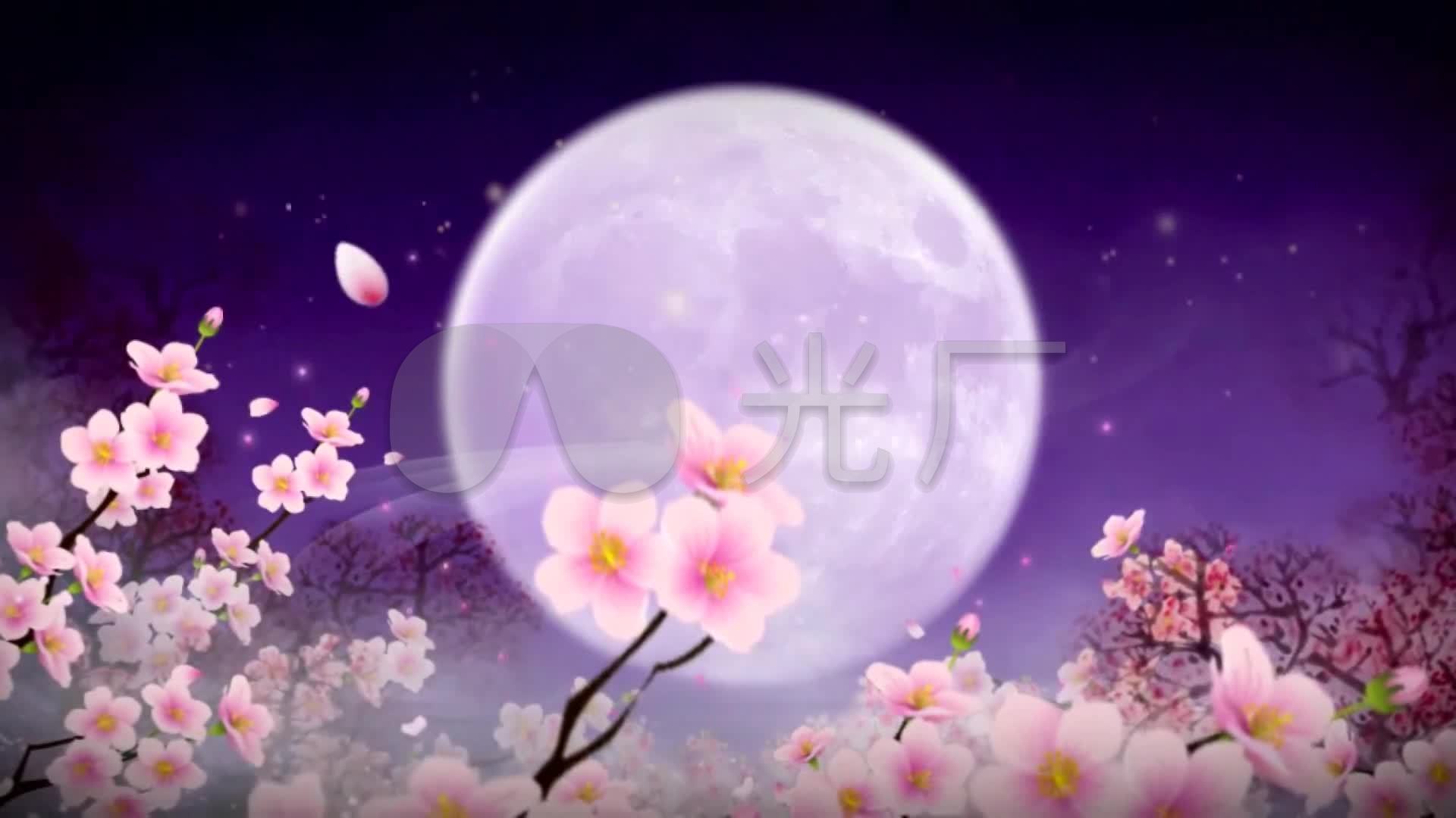 梅花动态视频歌曲舞蹈诗歌朗诵led动态视频背景素材下载