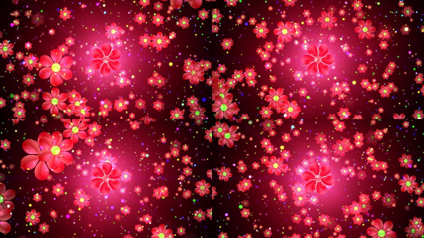 唯美太阳花