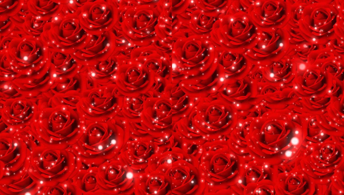 红色玫瑰花 