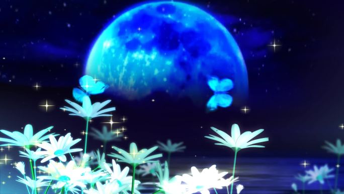 湖光潋滟 月色如银 浪漫星空 蓝色花朵 