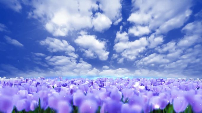 蓝天白云花紫色 