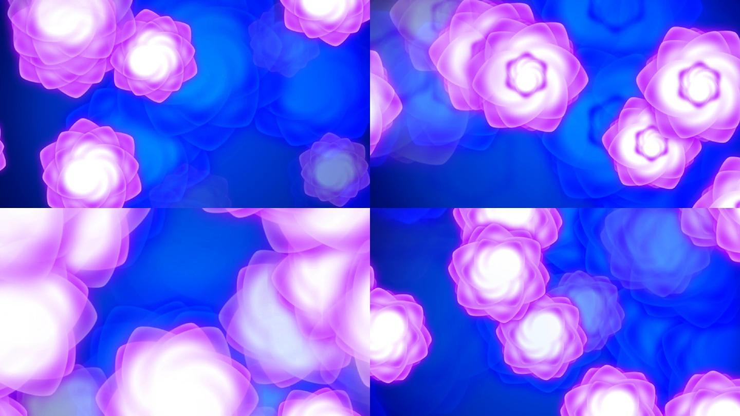 牡丹花视频