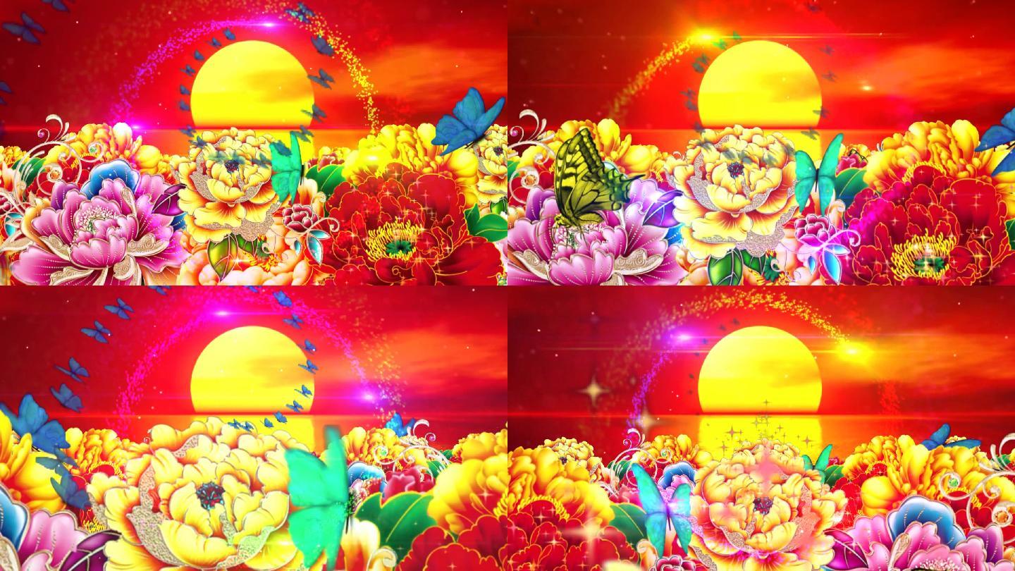 非常好看的牡丹花